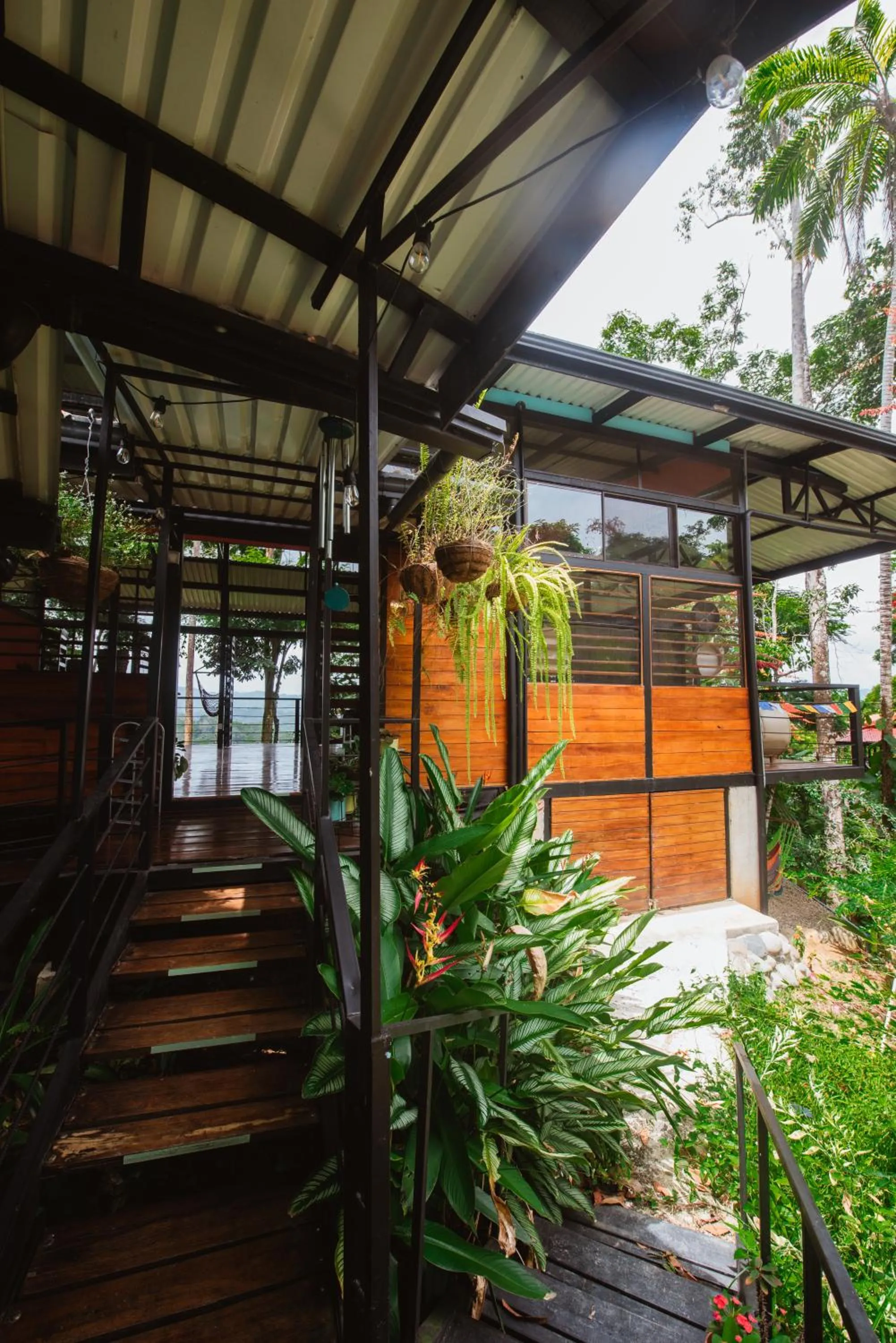 Property building in Selva Madre Eco-Sanctuary