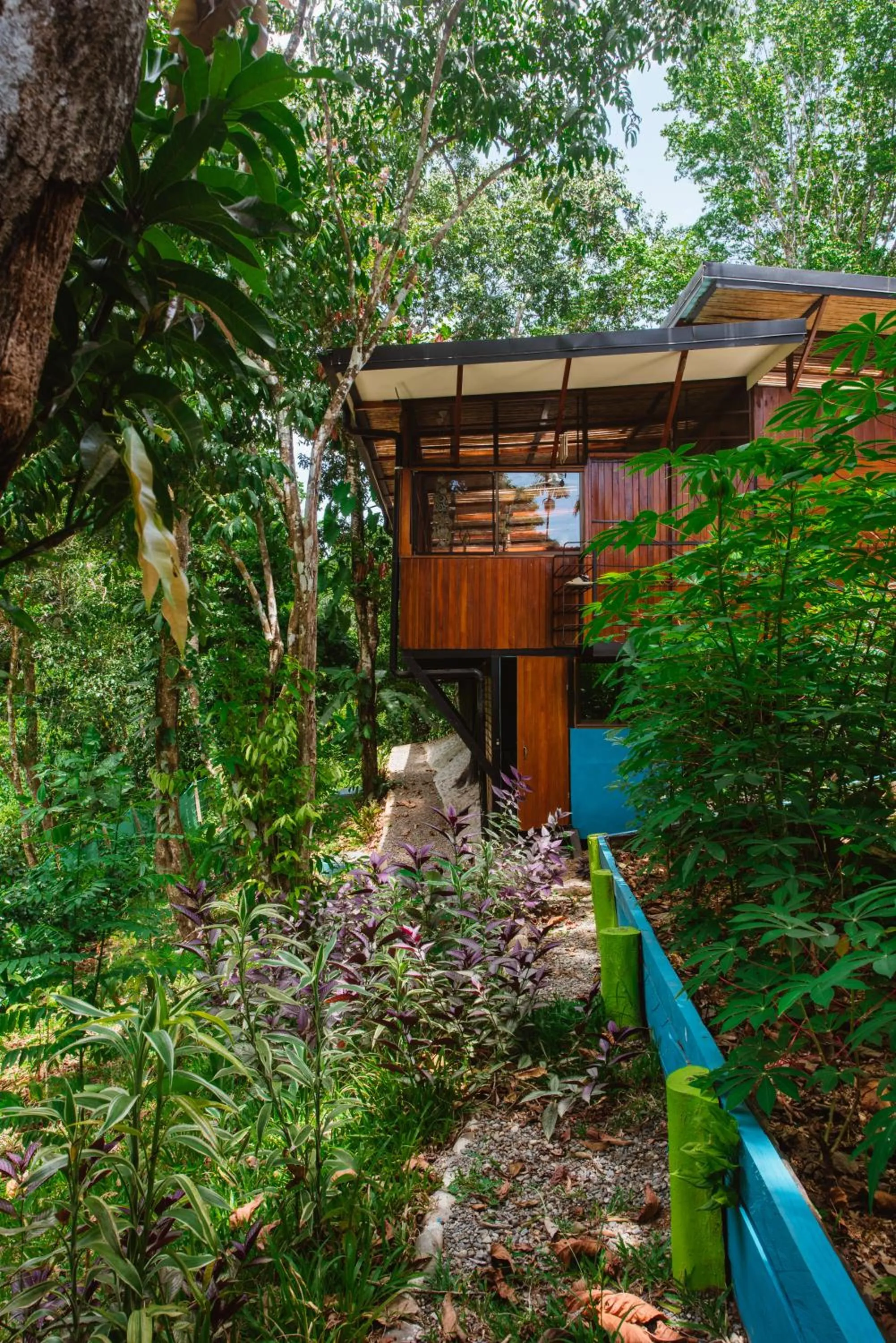 Property building in Selva Madre Eco-Sanctuary