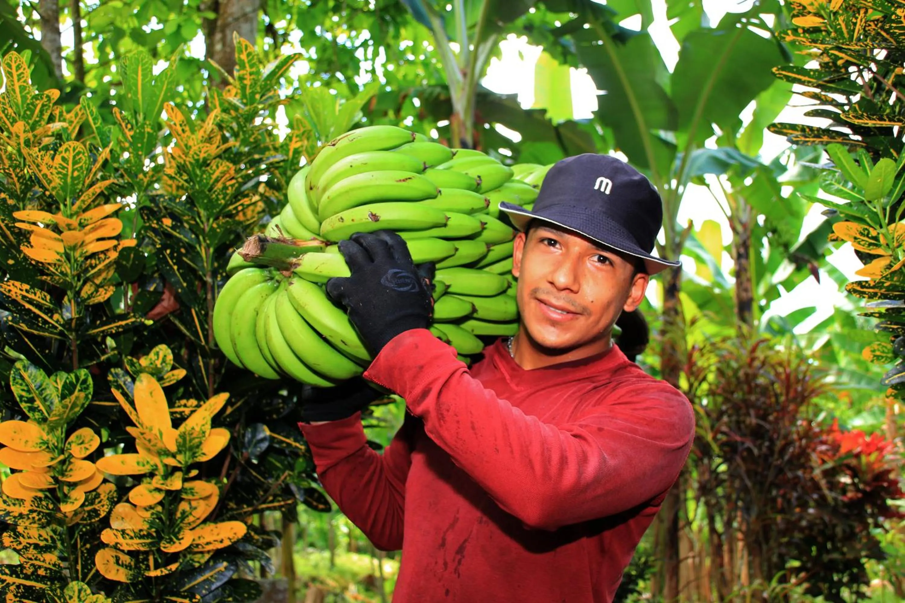 Staff in Natura Gardens Galápagos