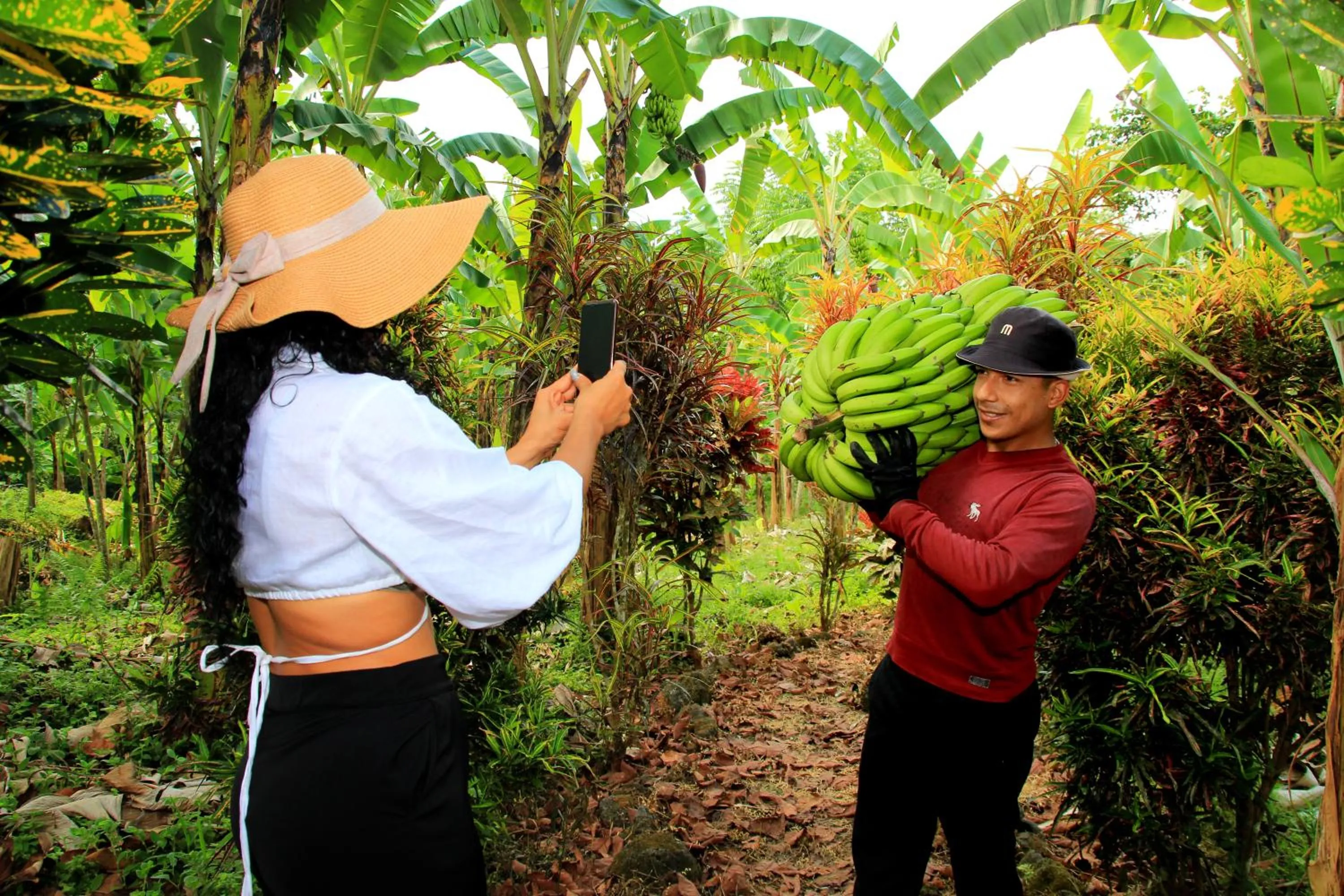 Day in Natura Gardens Galápagos