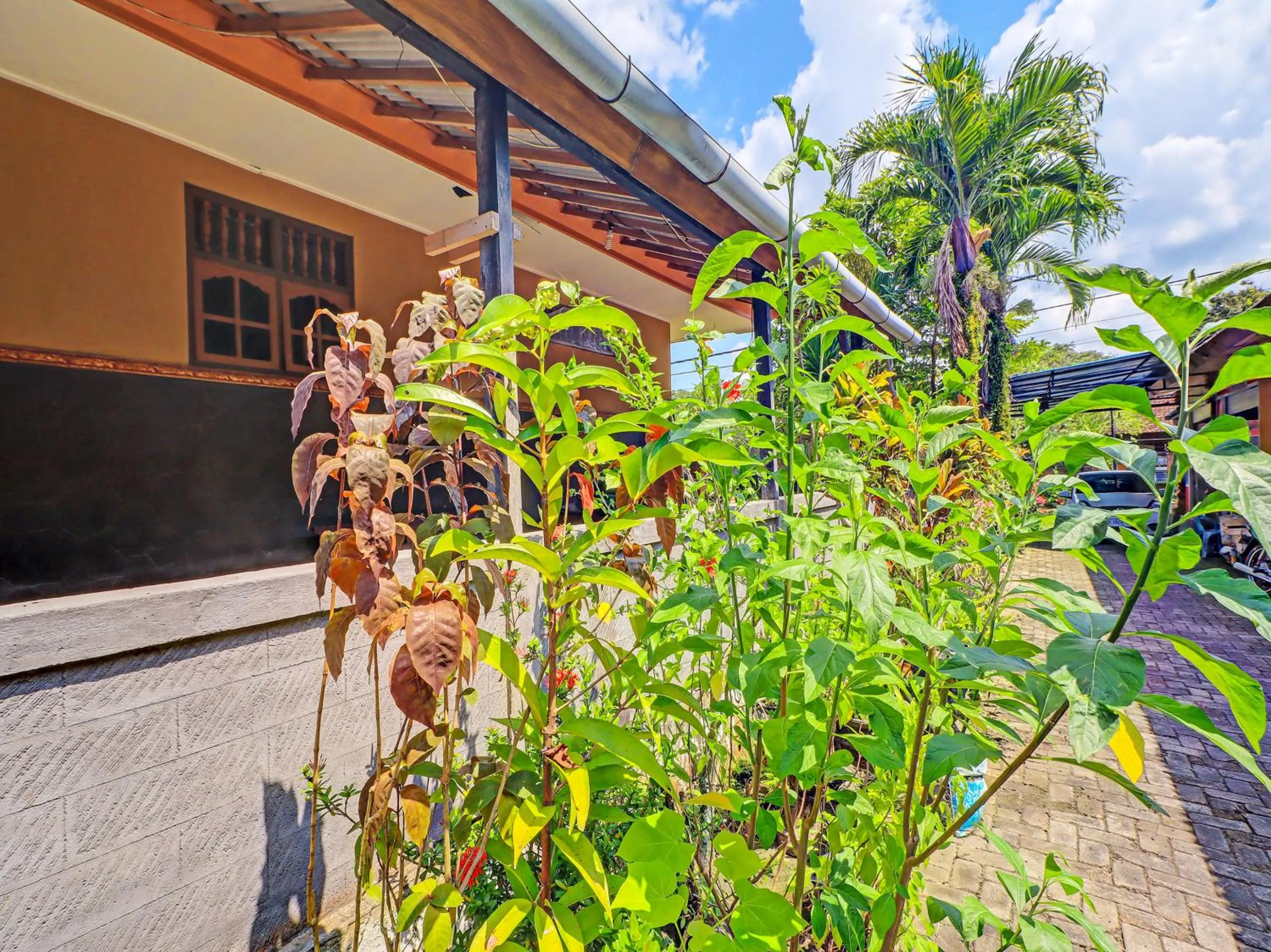 Garden in Hotel O Sekar Jagat Near Pantai Baluk Rening