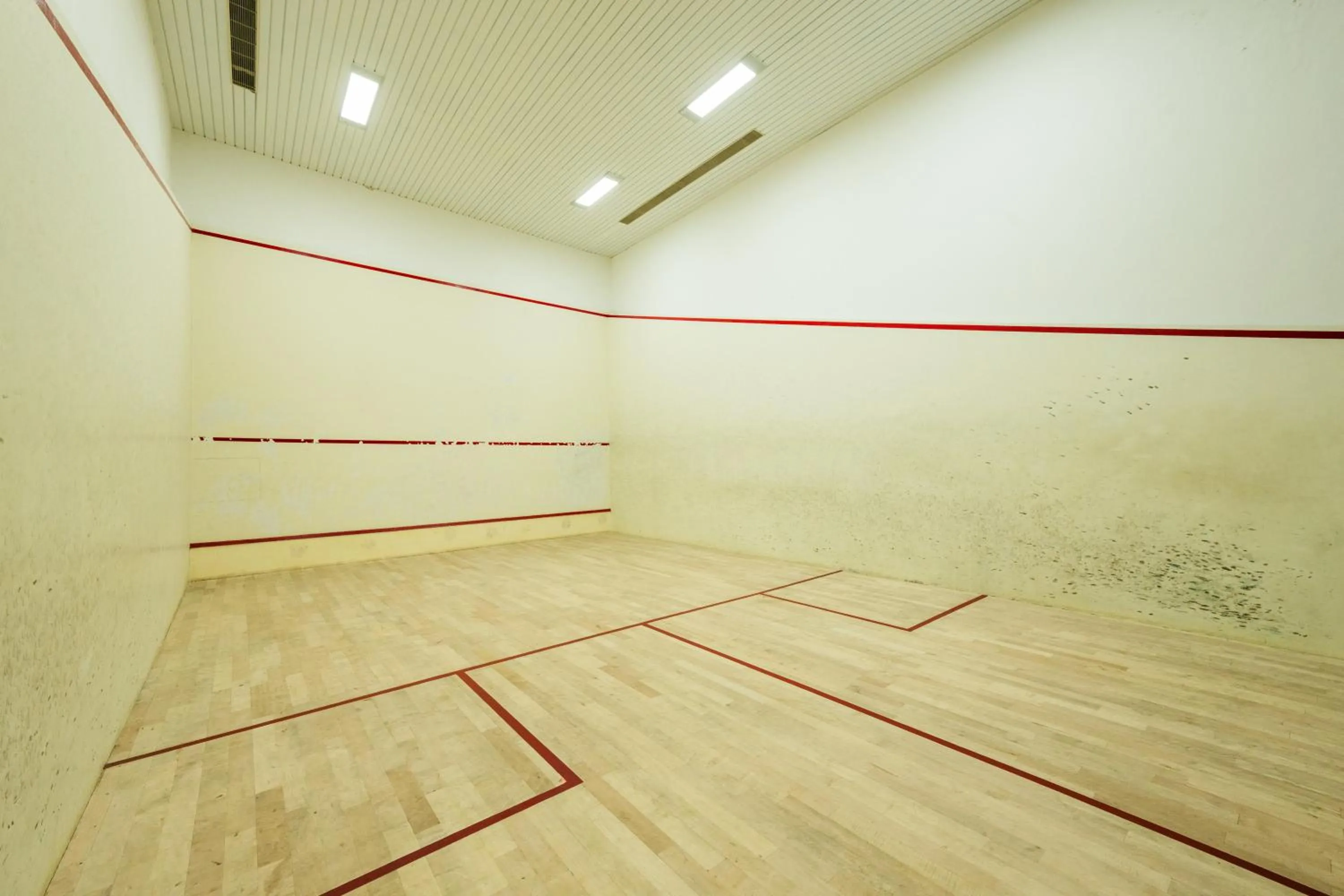 Squash in THE WOODROSE