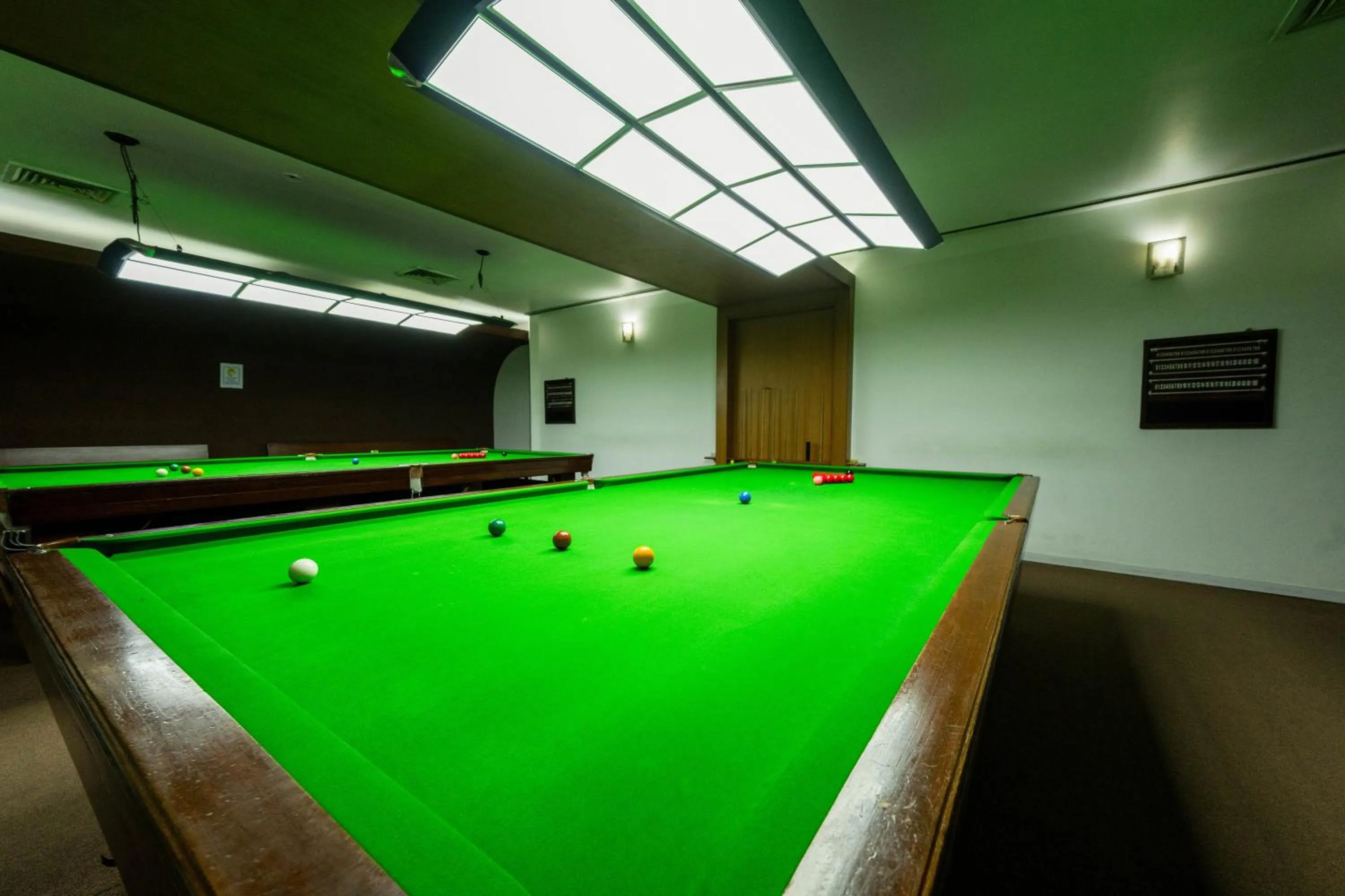 Billiard in THE WOODROSE