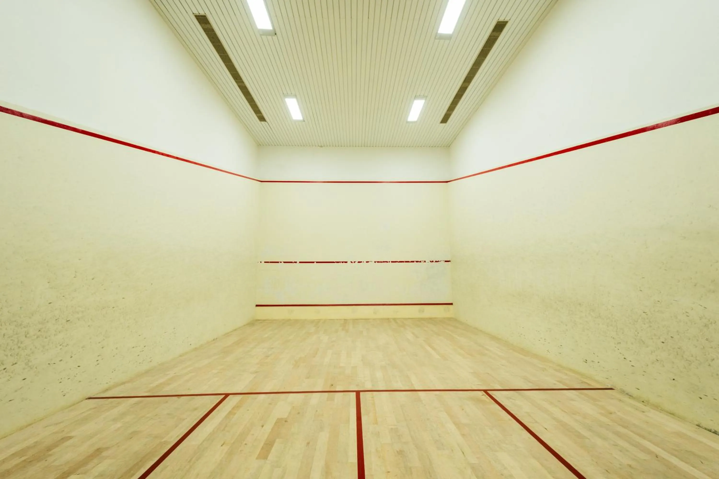 Squash in THE WOODROSE