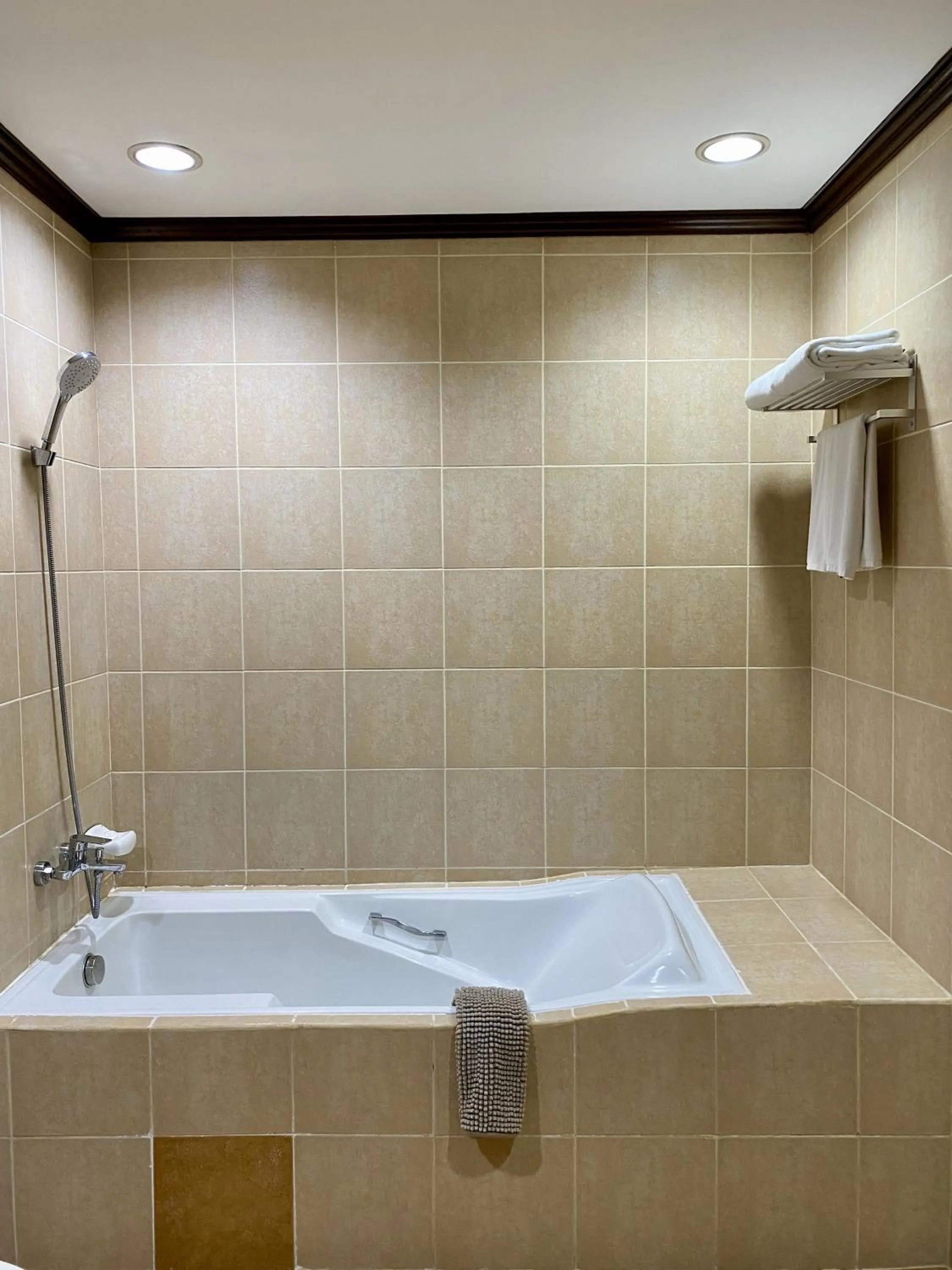 Shower in Plaza Del Norte Hotel and Convention Center