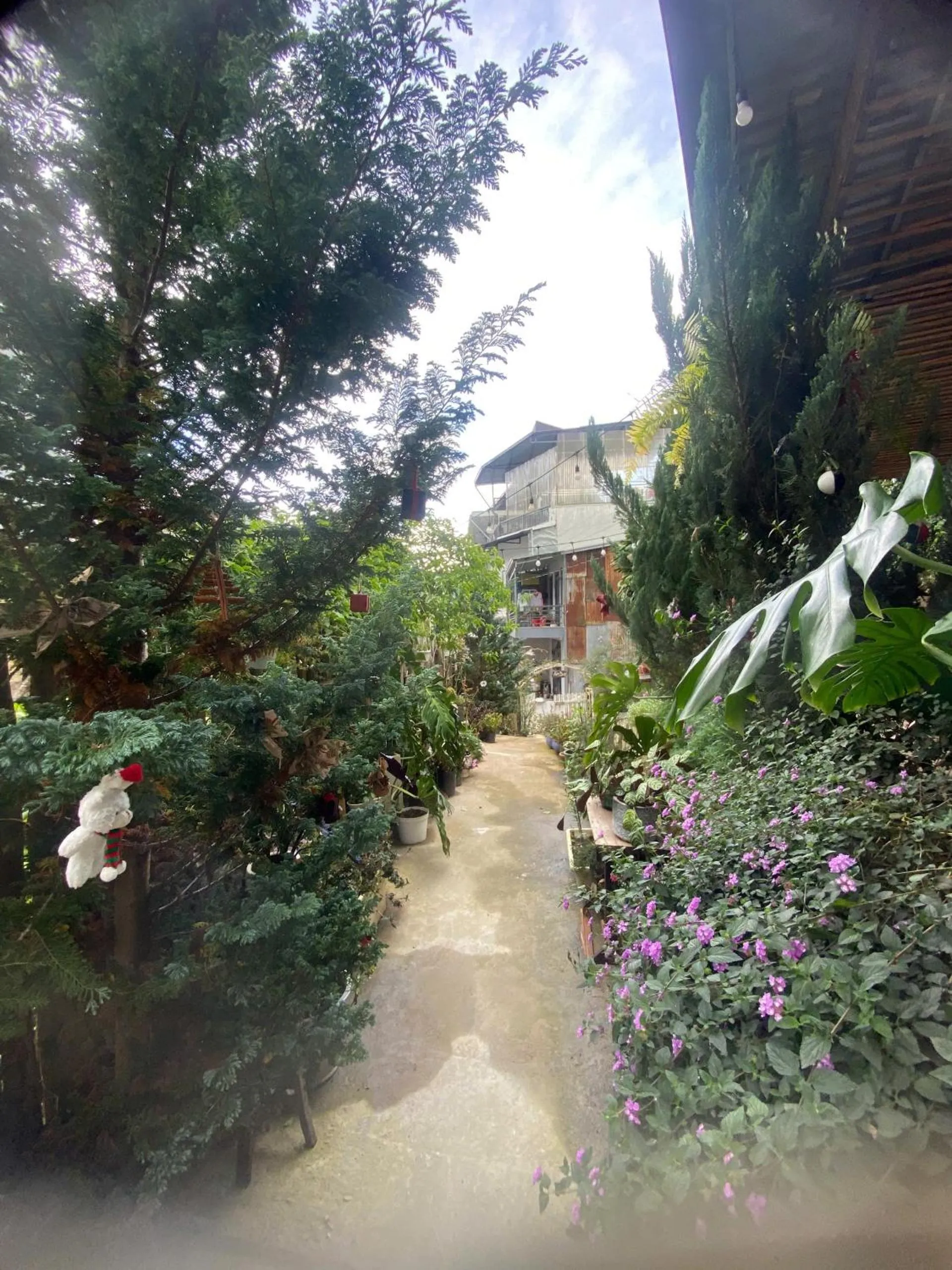 Garden in Soul PnB Homestay