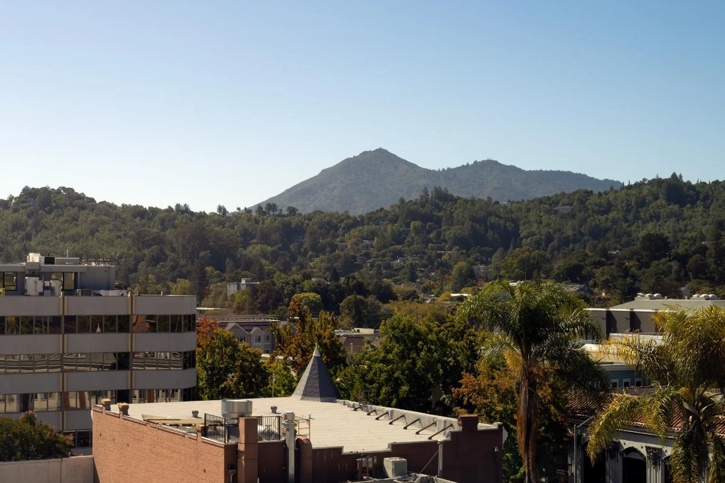 View (from property/room) in AC Hotel San Rafael Downtown