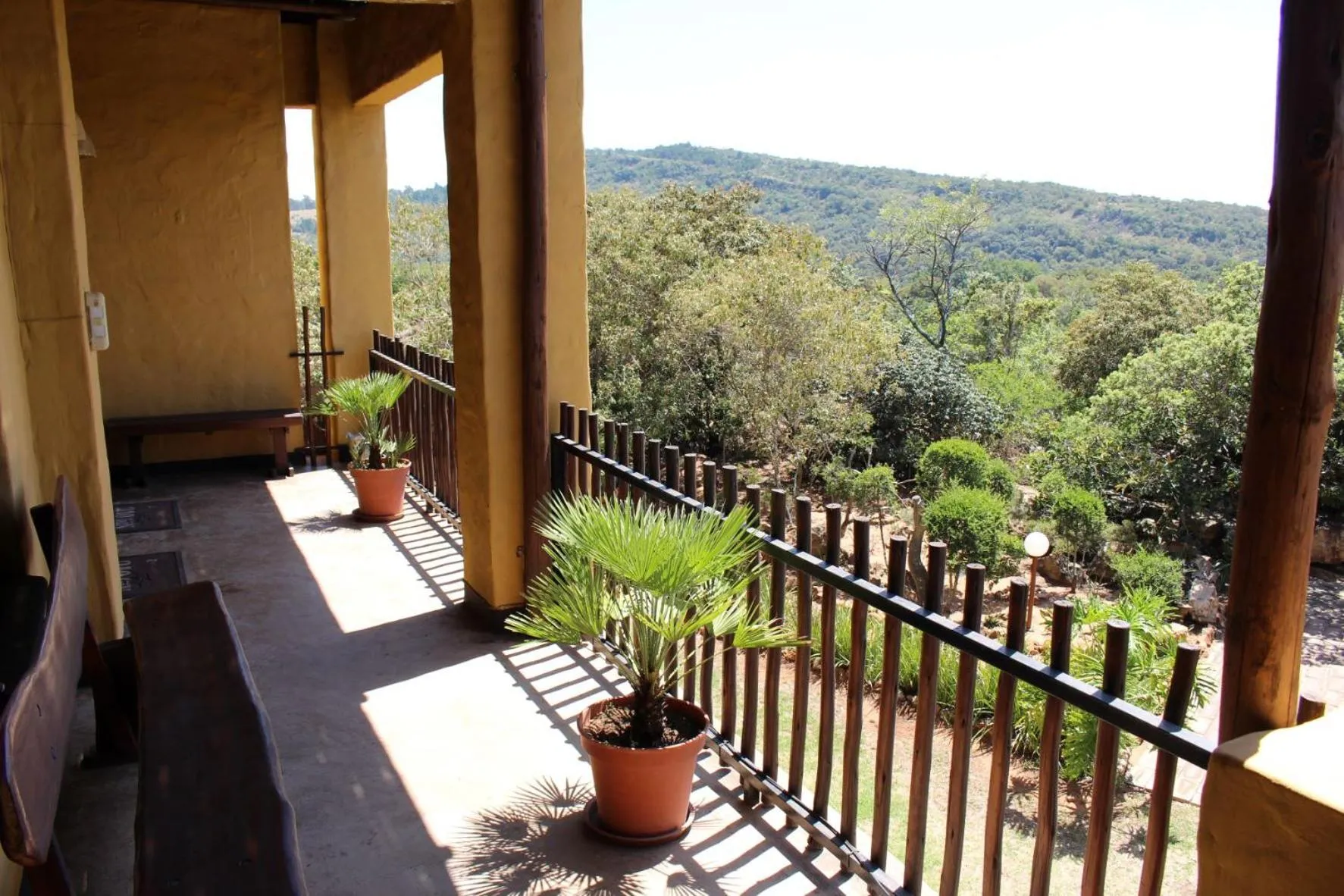 Balcony/Terrace in Ndlovu Lodge