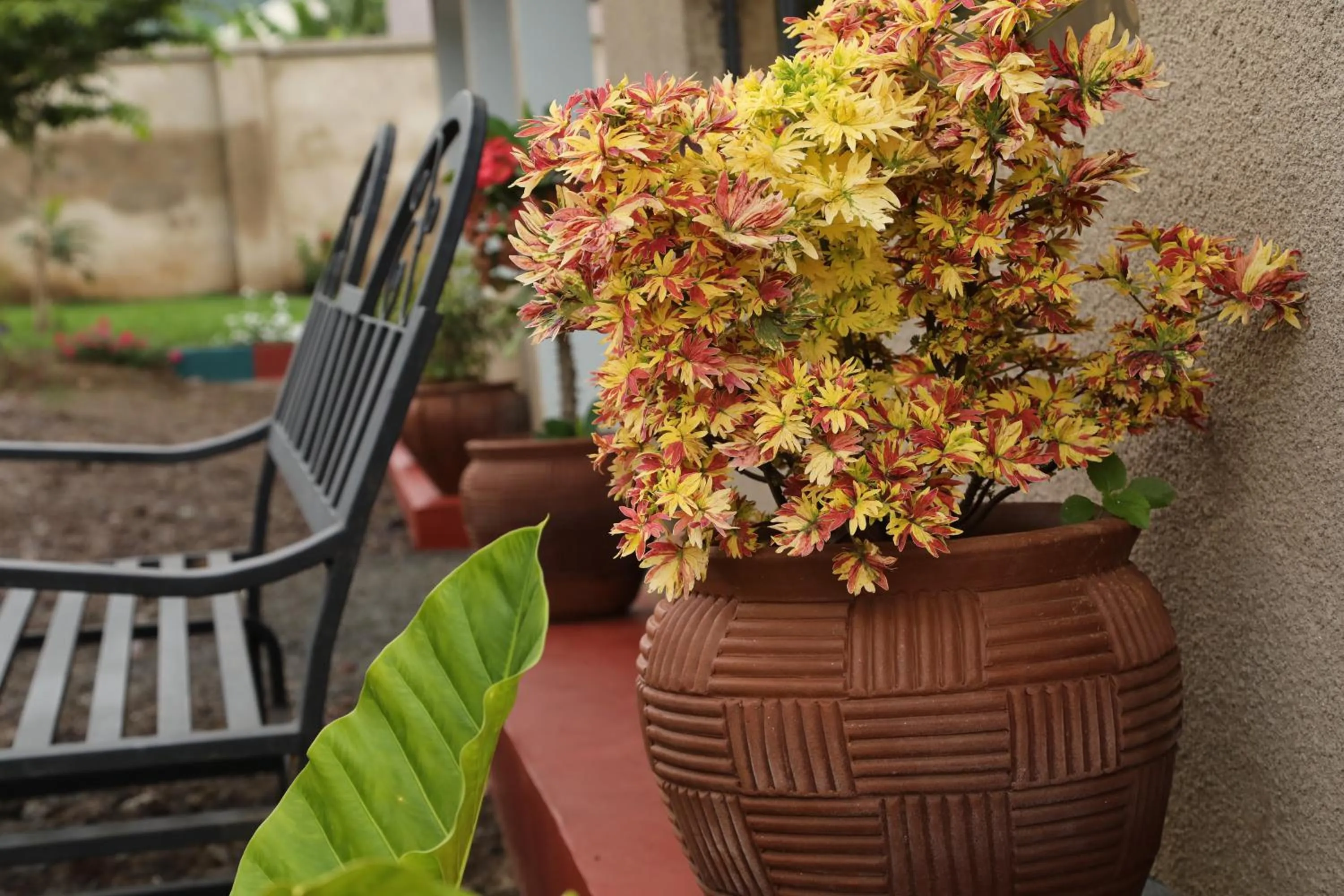 Garden view in Wademac Arusha Inn Hotel