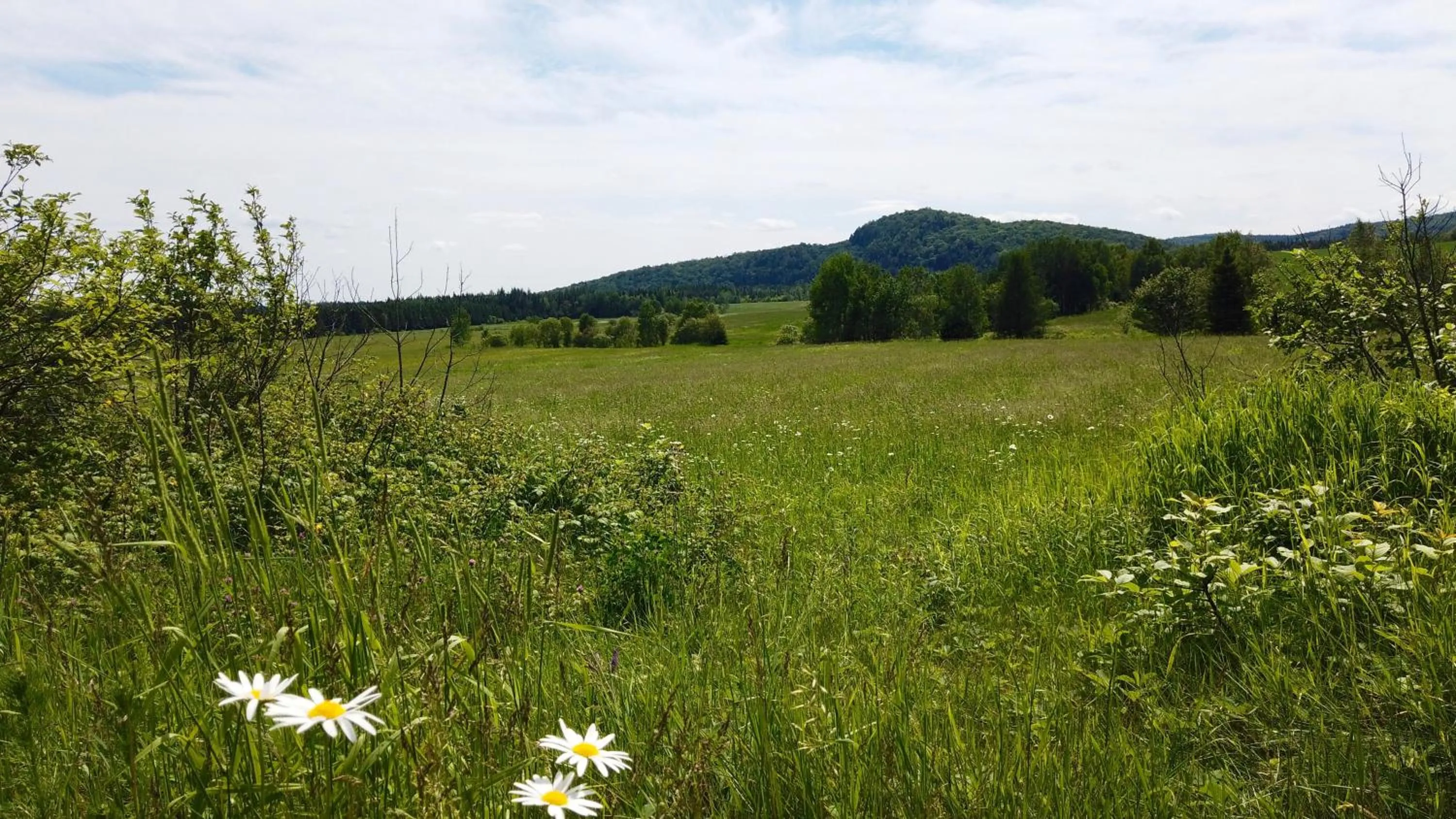 Garden view in Les Chalets Tourisma - Maison de campagne avec spa - La Campagnarde