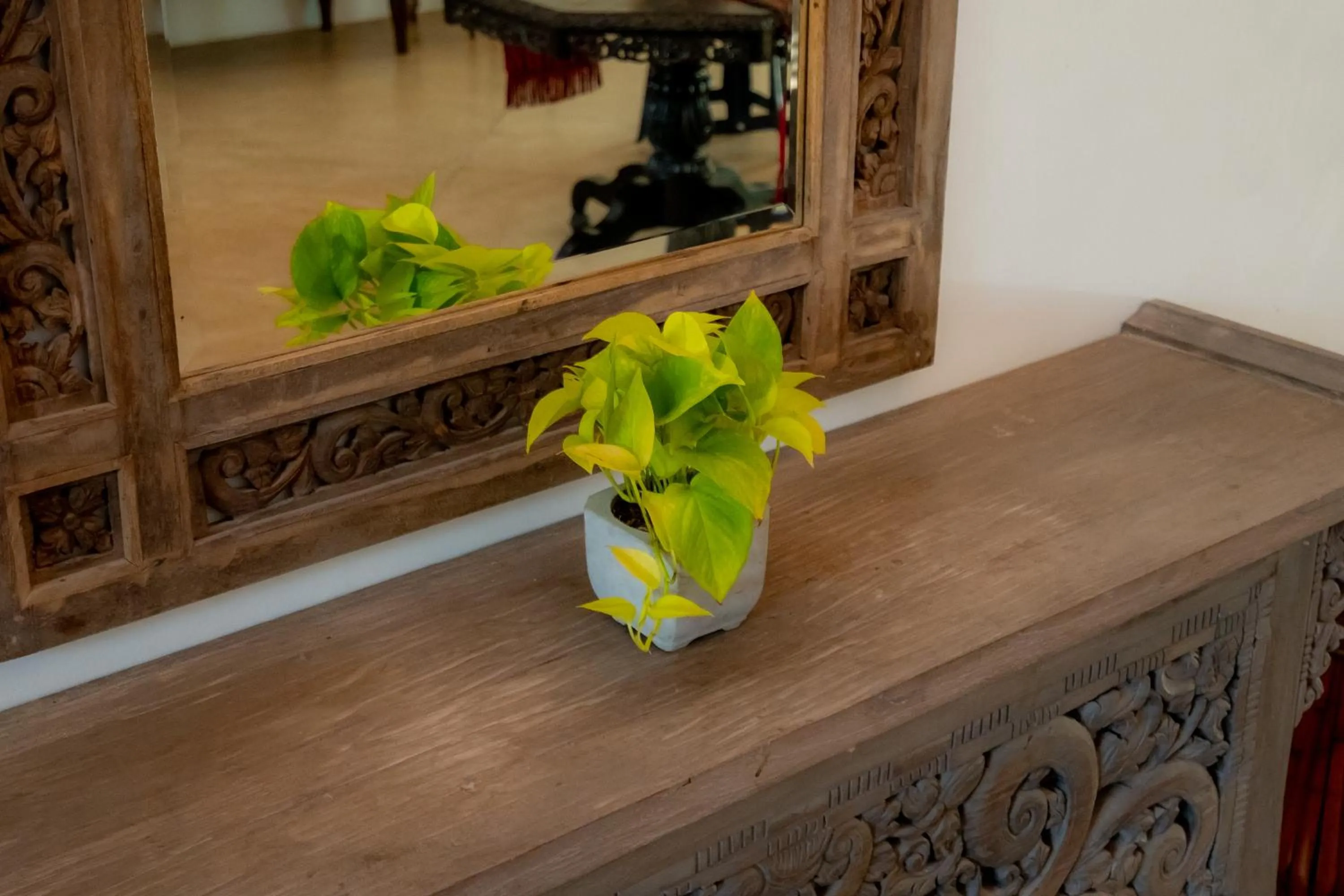 Decorative detail in GALLE HERITAGE VILLA