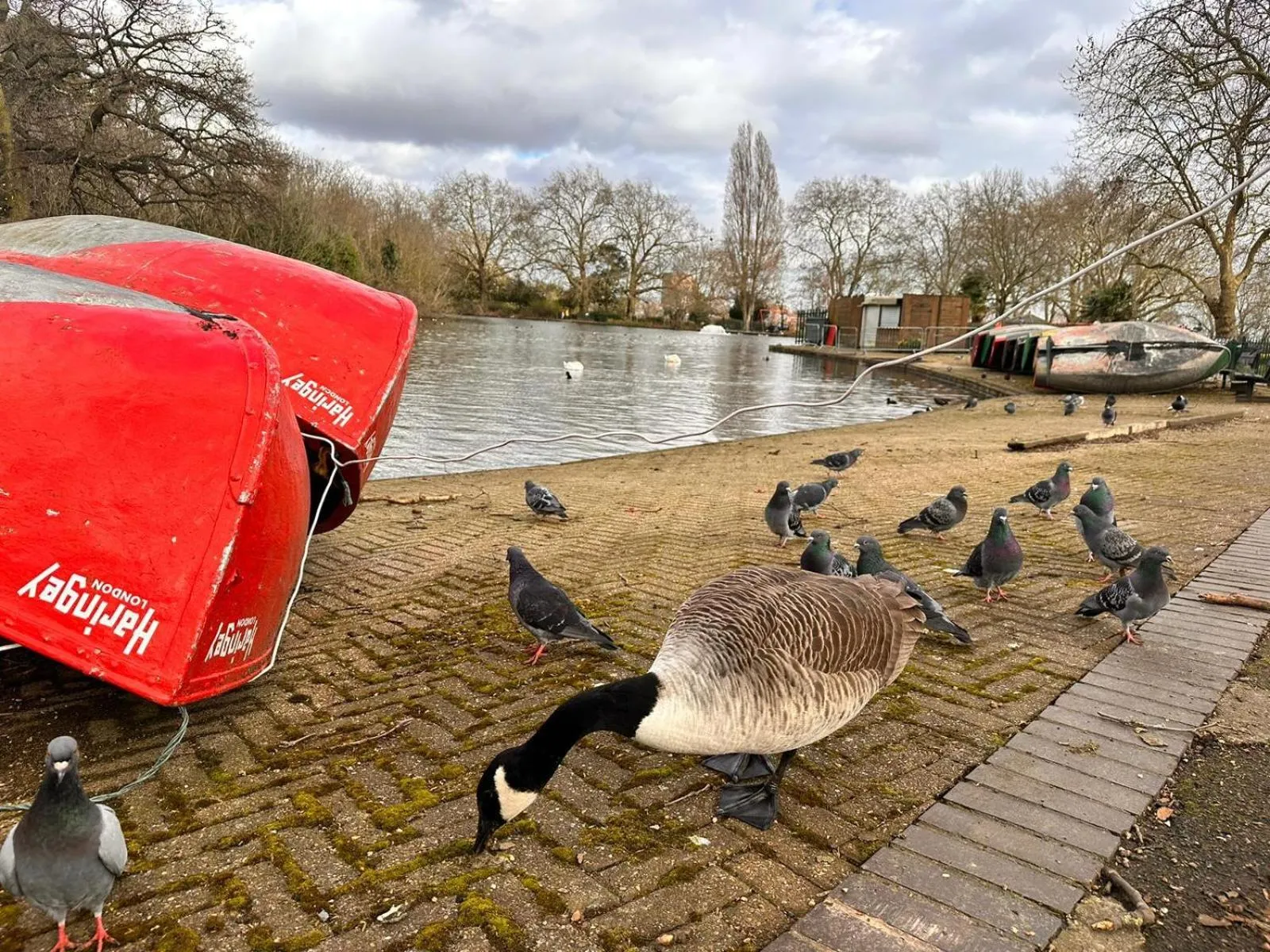 Natural landscape in The Finsbury Deluxe Apartments