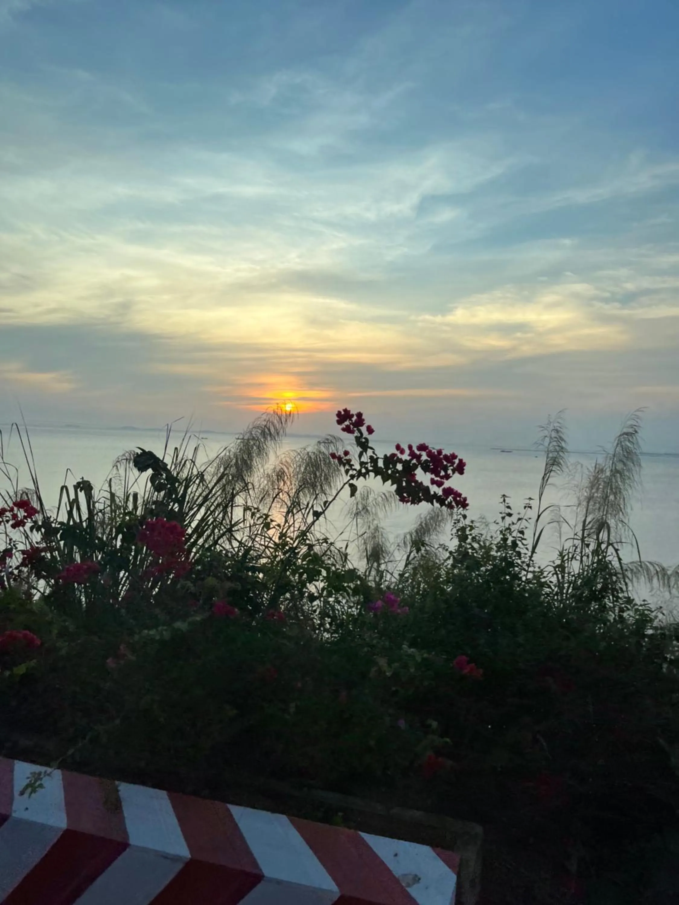 Natural landscape in Cat Ba Plaza Hotel