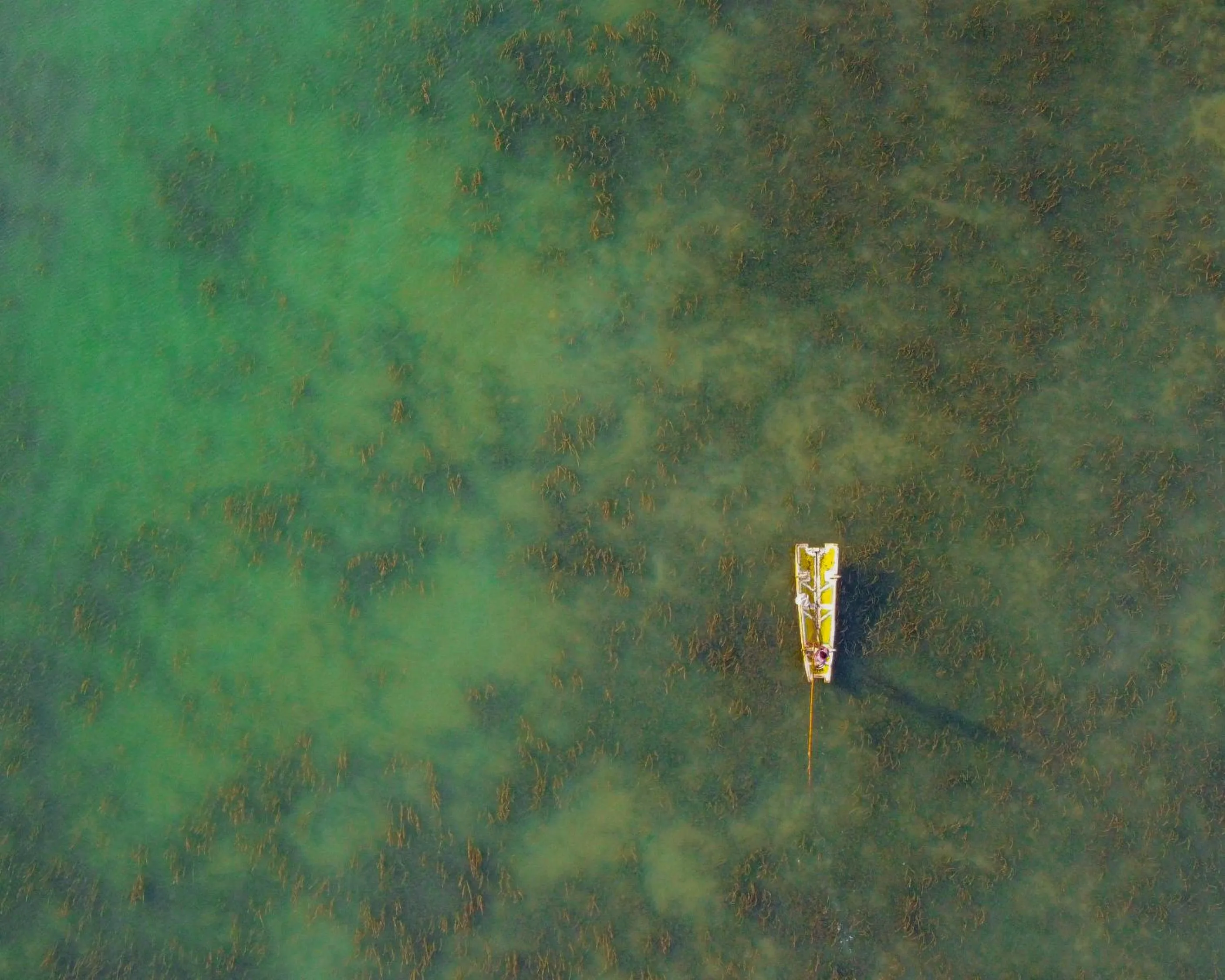Natural landscape in Koddu Kalpitiya