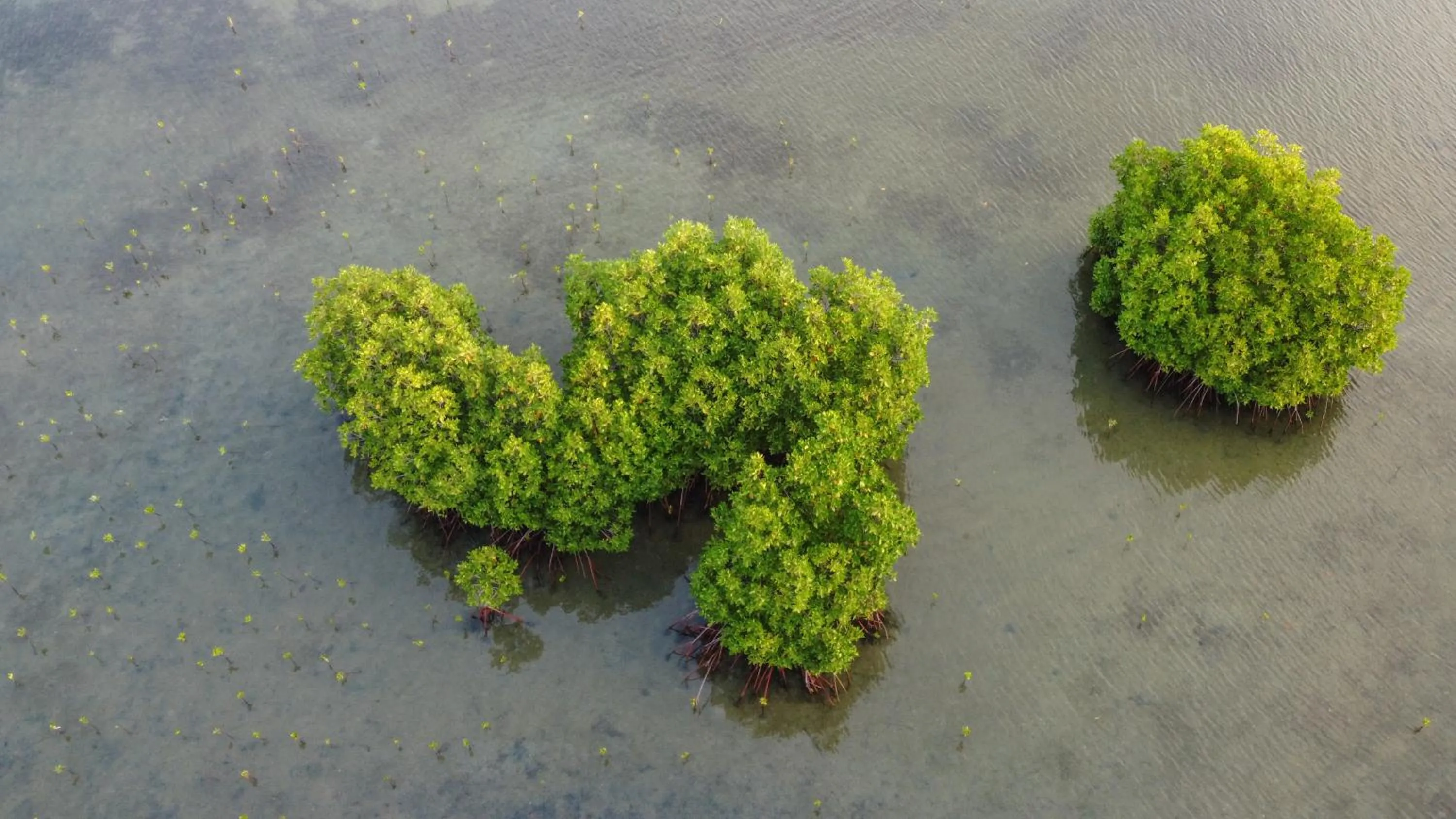 Natural landscape in Koddu Kalpitiya