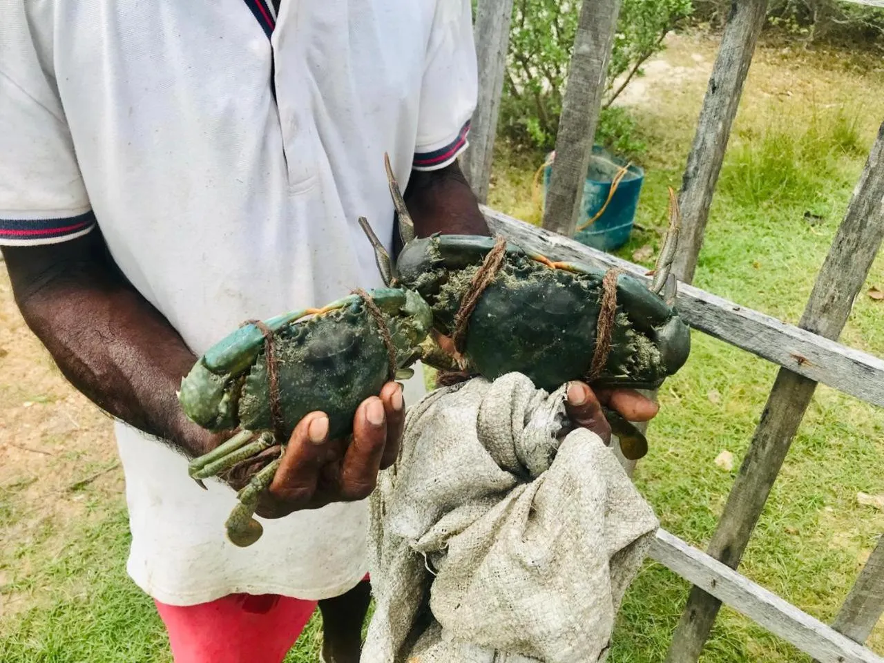 Activities in Koddu Kalpitiya