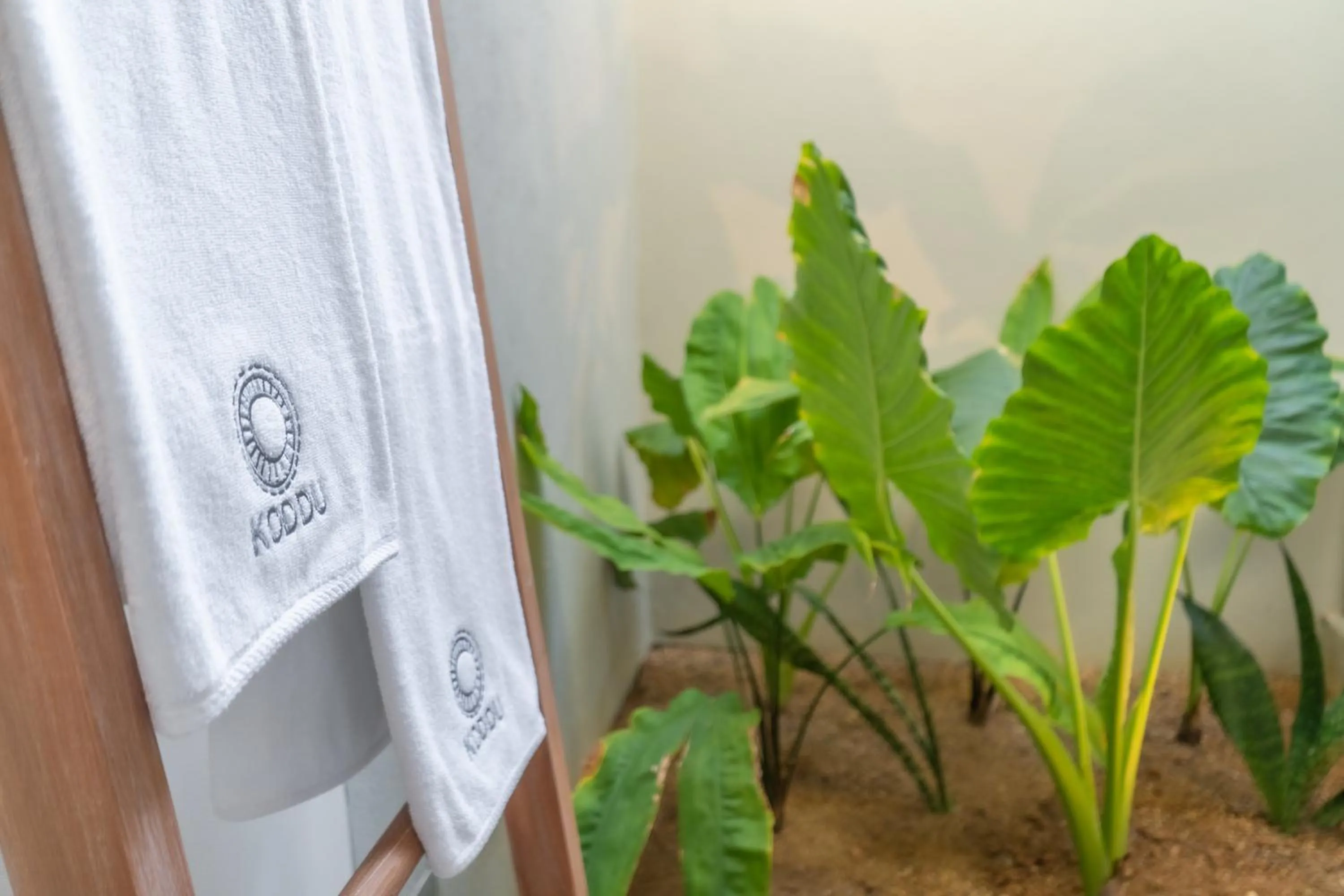 towels in Koddu Kalpitiya