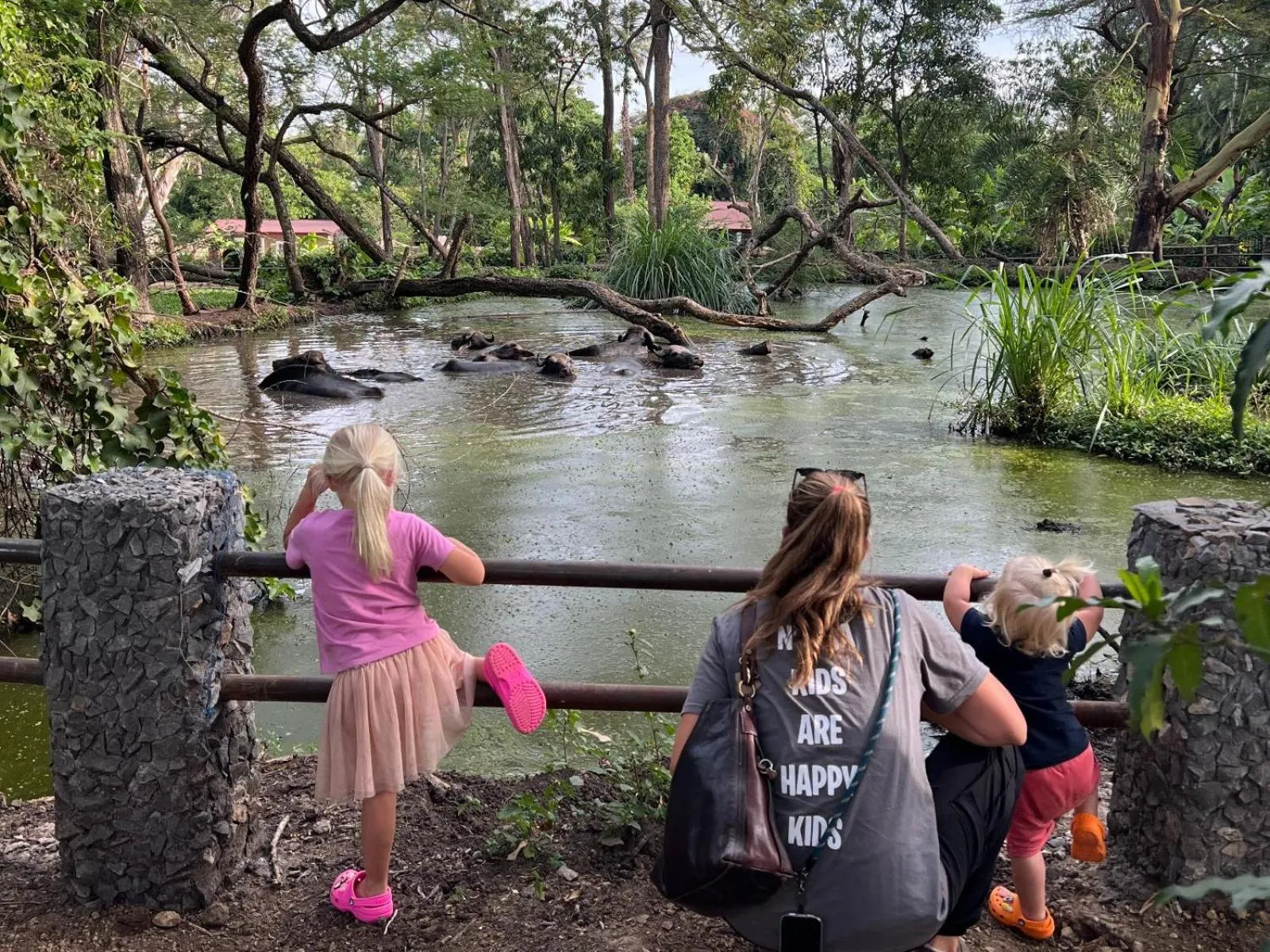 Garden in Mount Meru Game Lodge