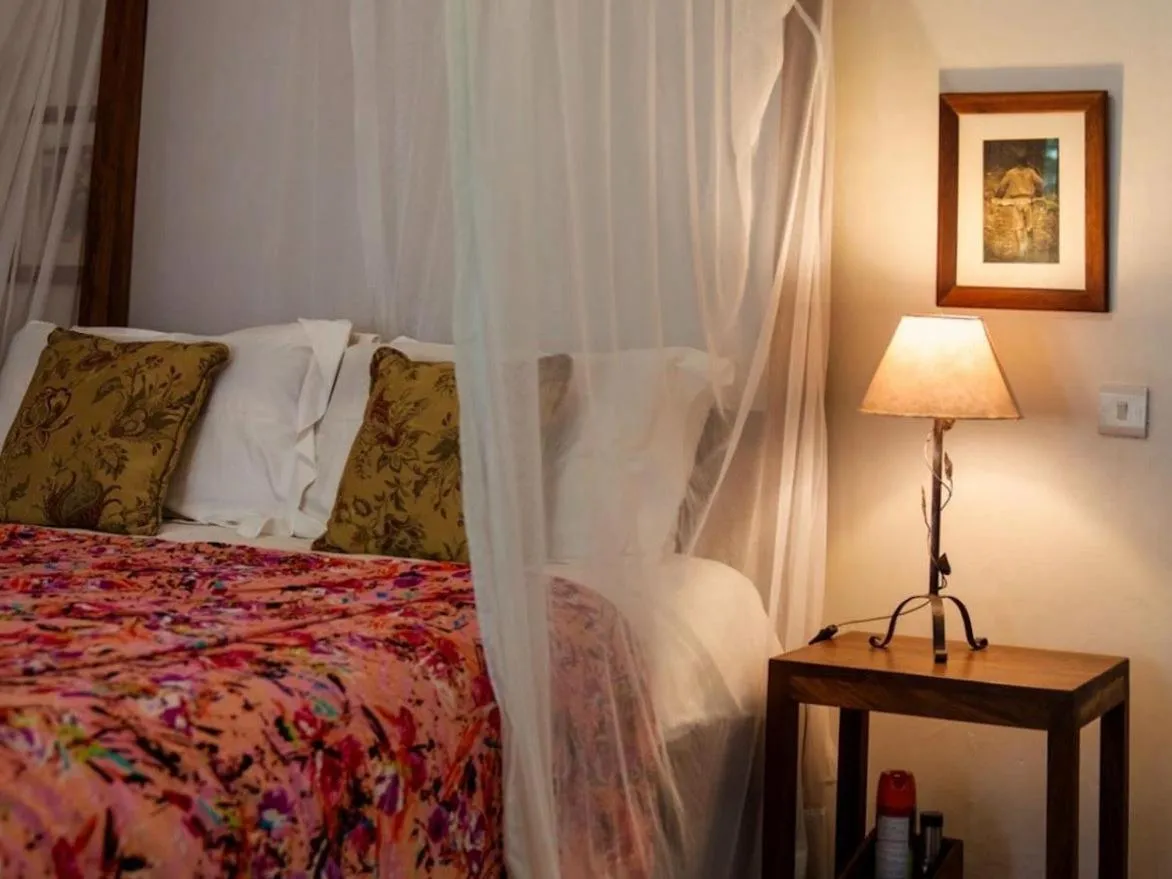 Bed in Mount Meru Game Lodge