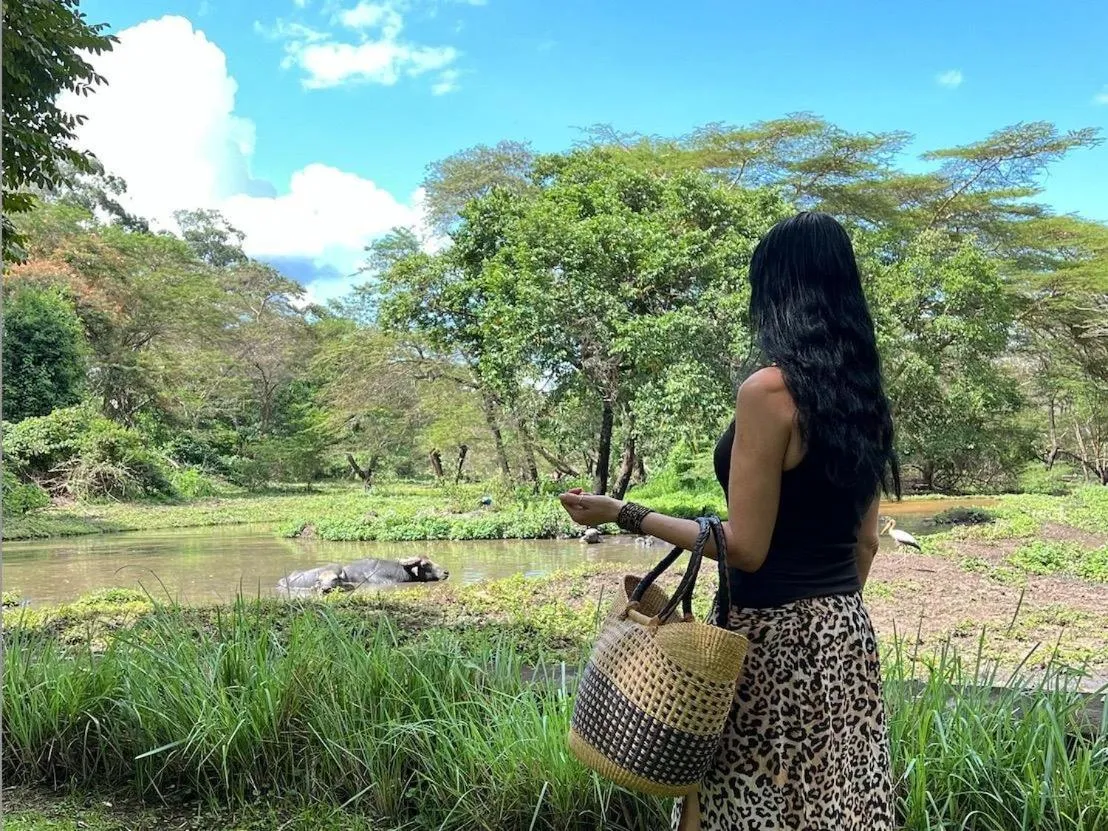 Garden in Mount Meru Game Lodge