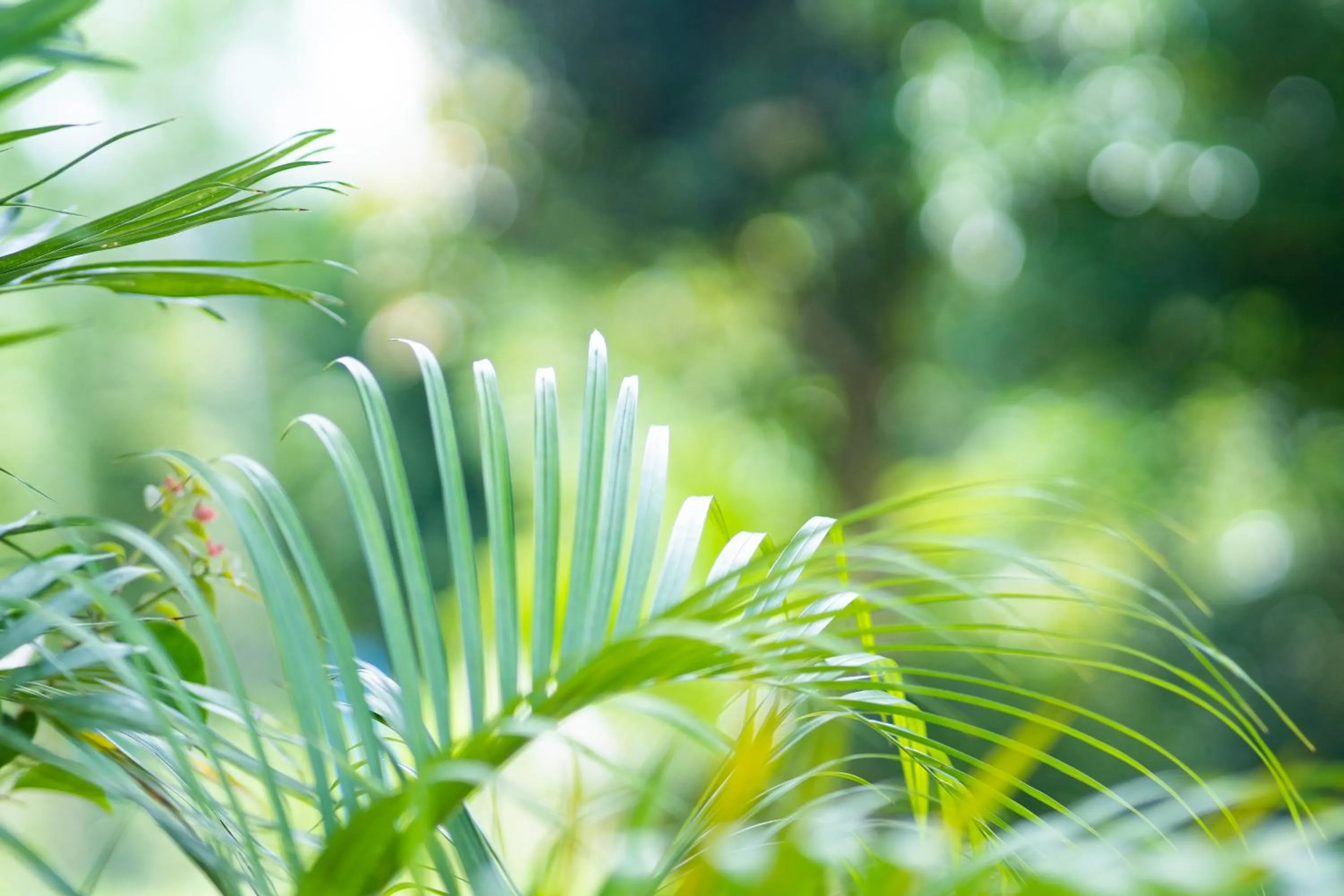 Property building in Ana-as Apartelle (GGL)