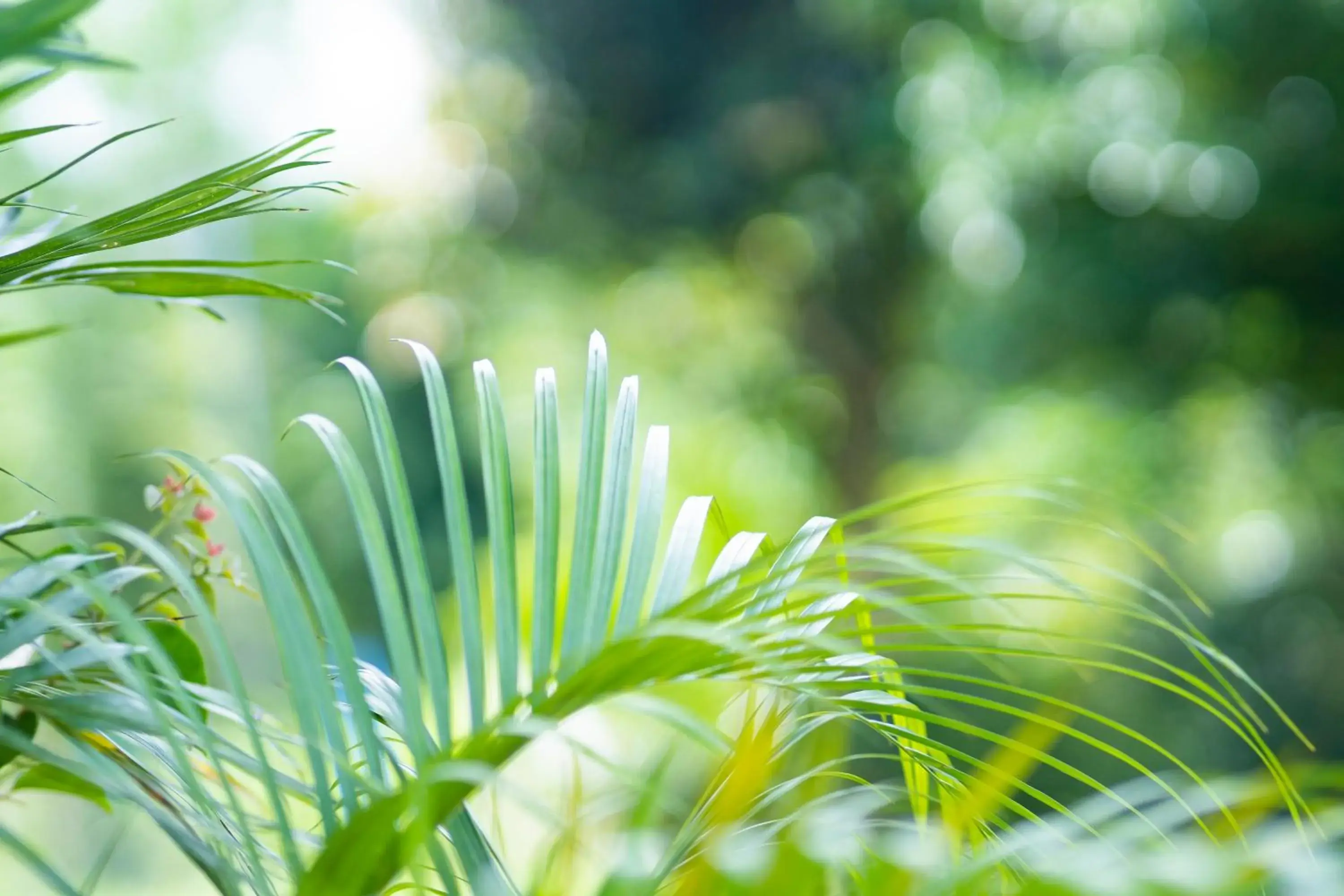 Property building in Ana-as Apartelle (GGL) Property building in Ana-as Apartelle (GGL)