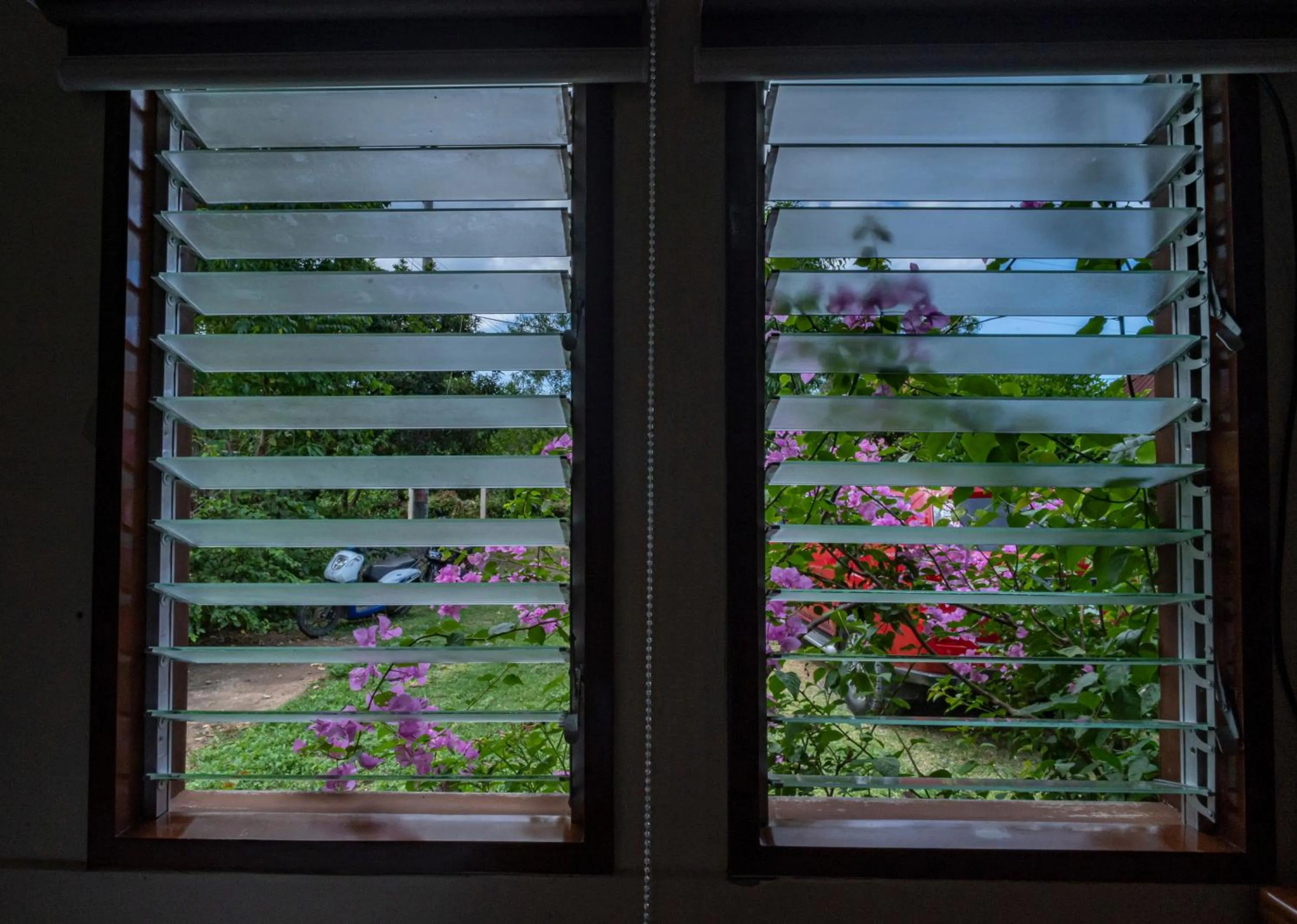 Garden view in Ana-as Apartelle (GGL)