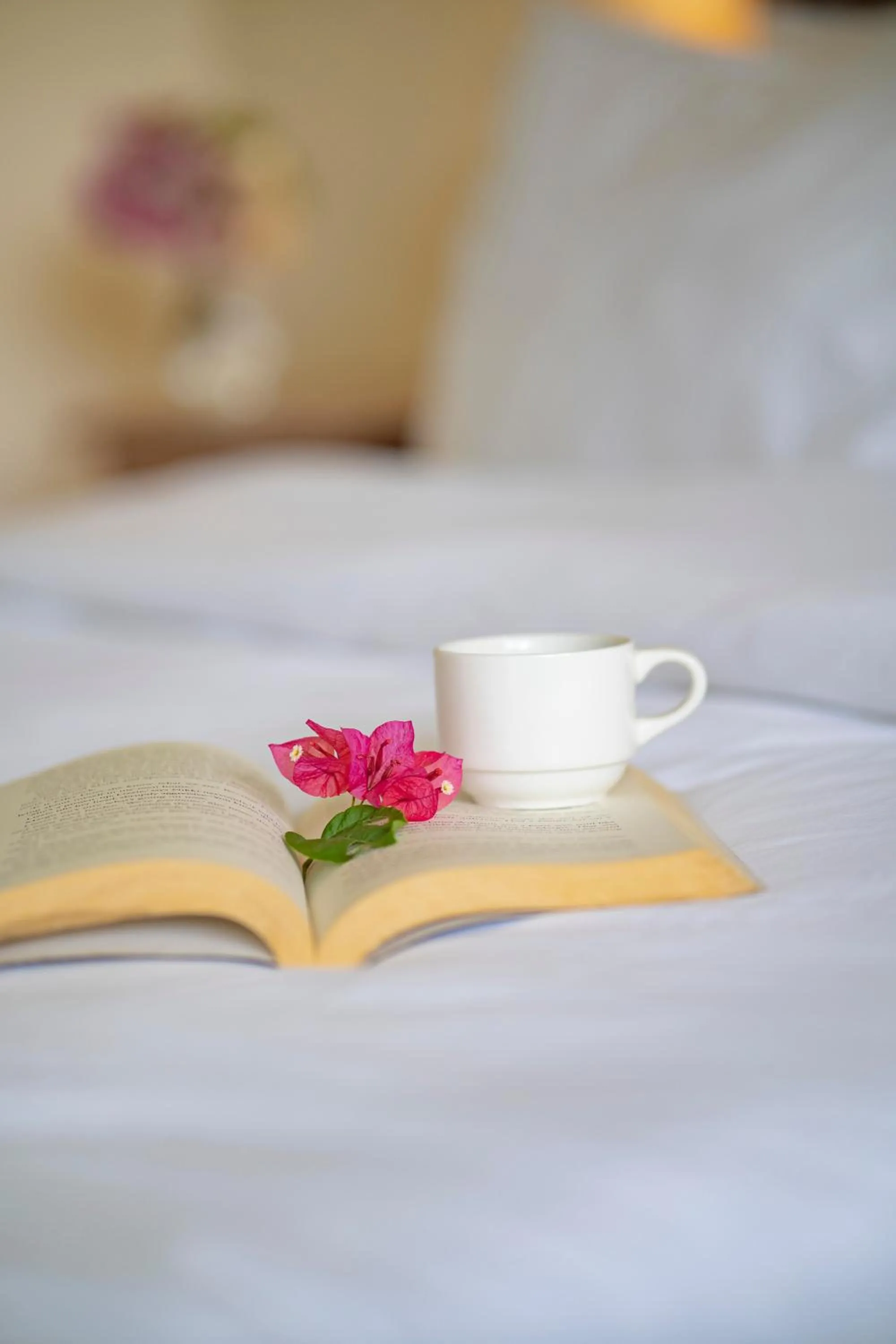 Bed in Ana-as Apartelle (GGL)