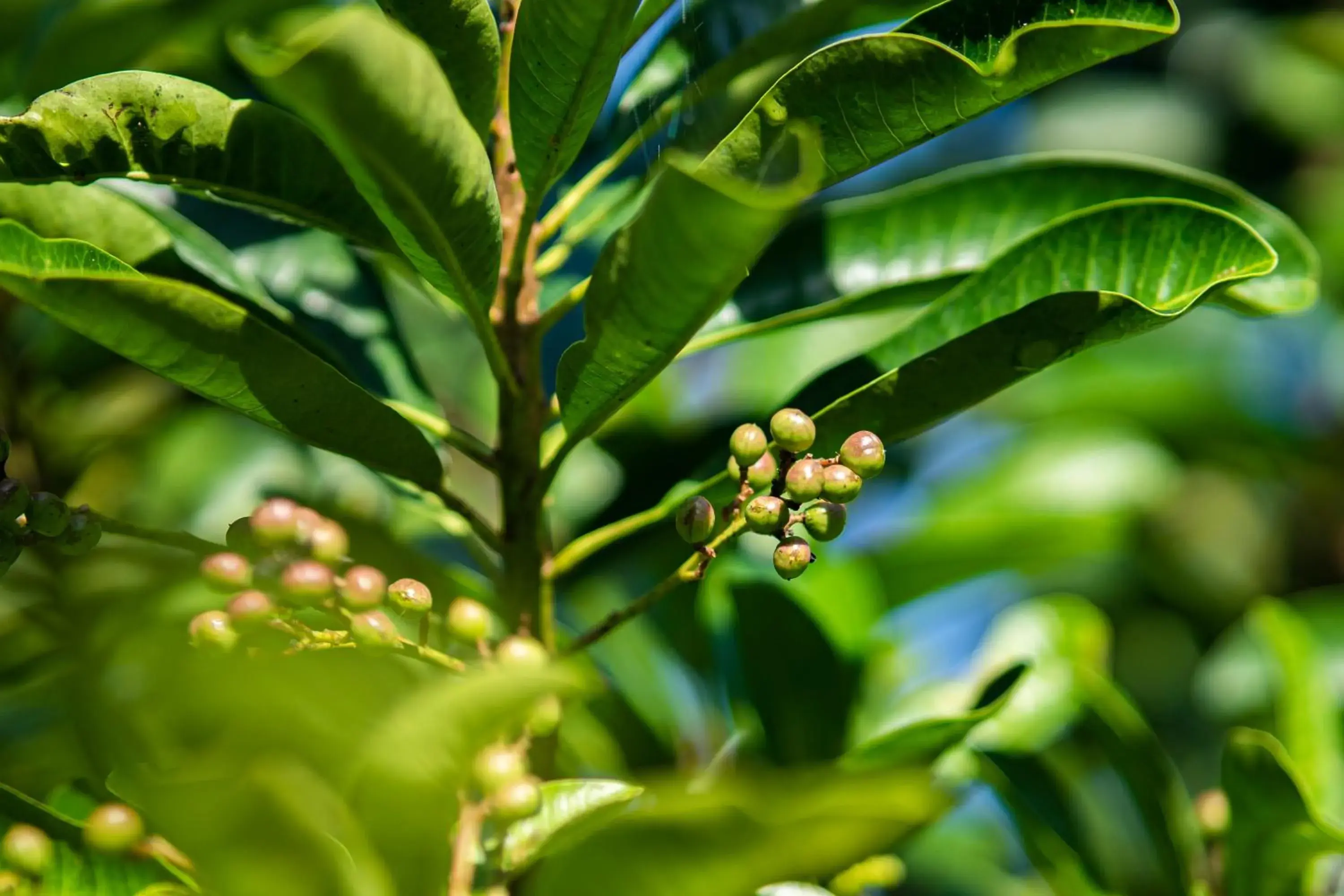 Property building in Ana-as Apartelle (GGL) Property building in Ana-as Apartelle (GGL)