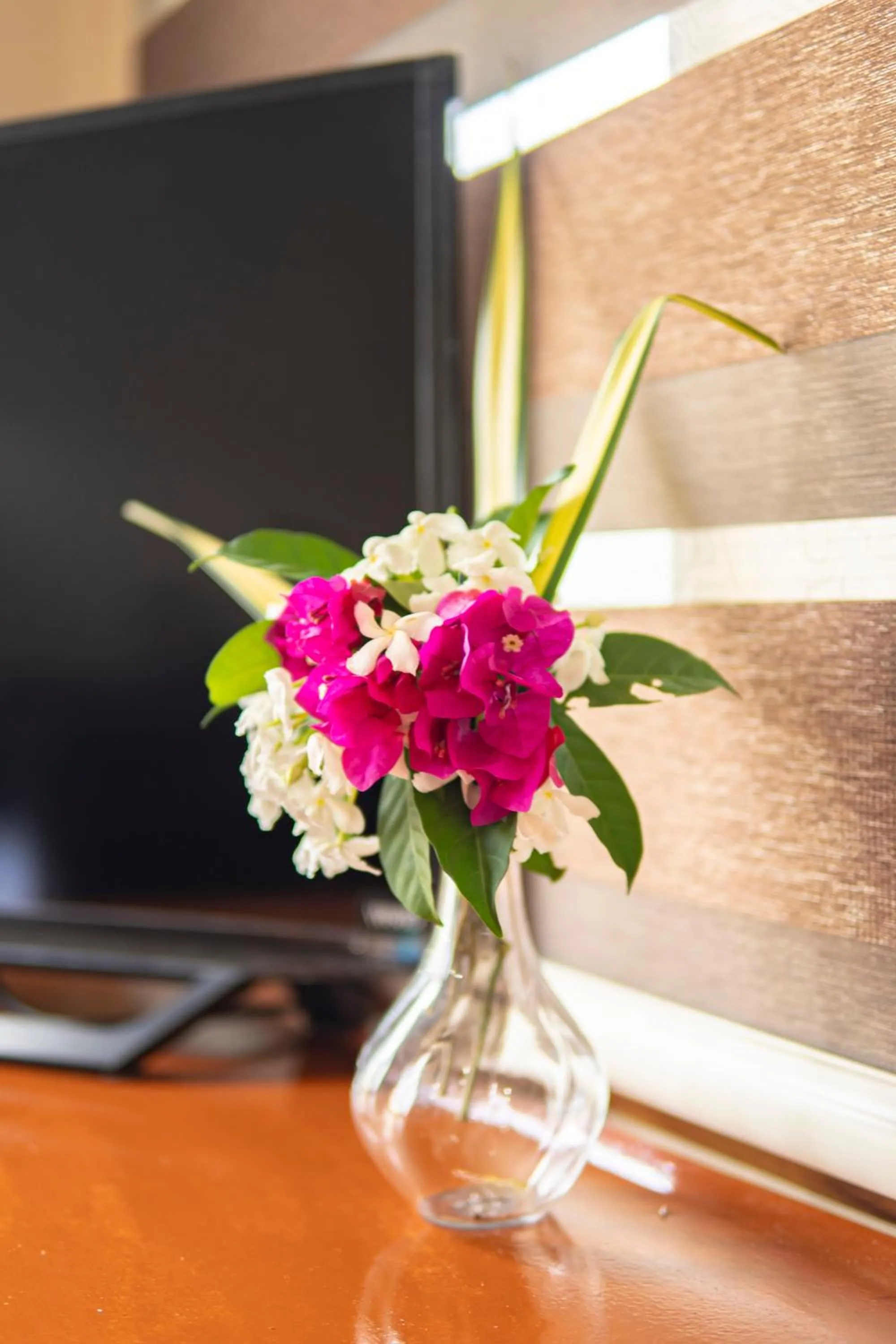 TV and multimedia in Ana-as Apartelle (GGL)