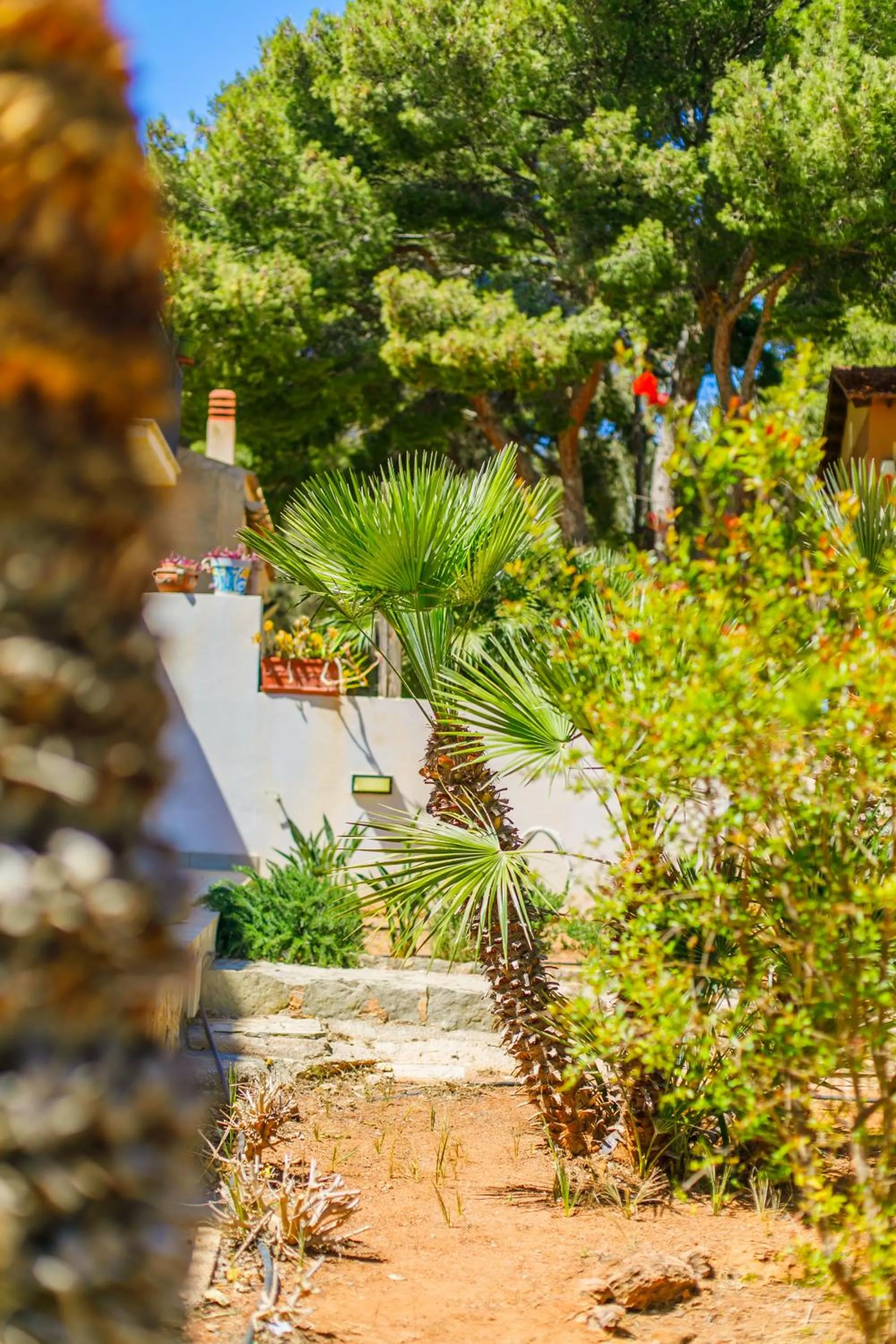 Garden in SanVitoTour- Residence Il Baglio