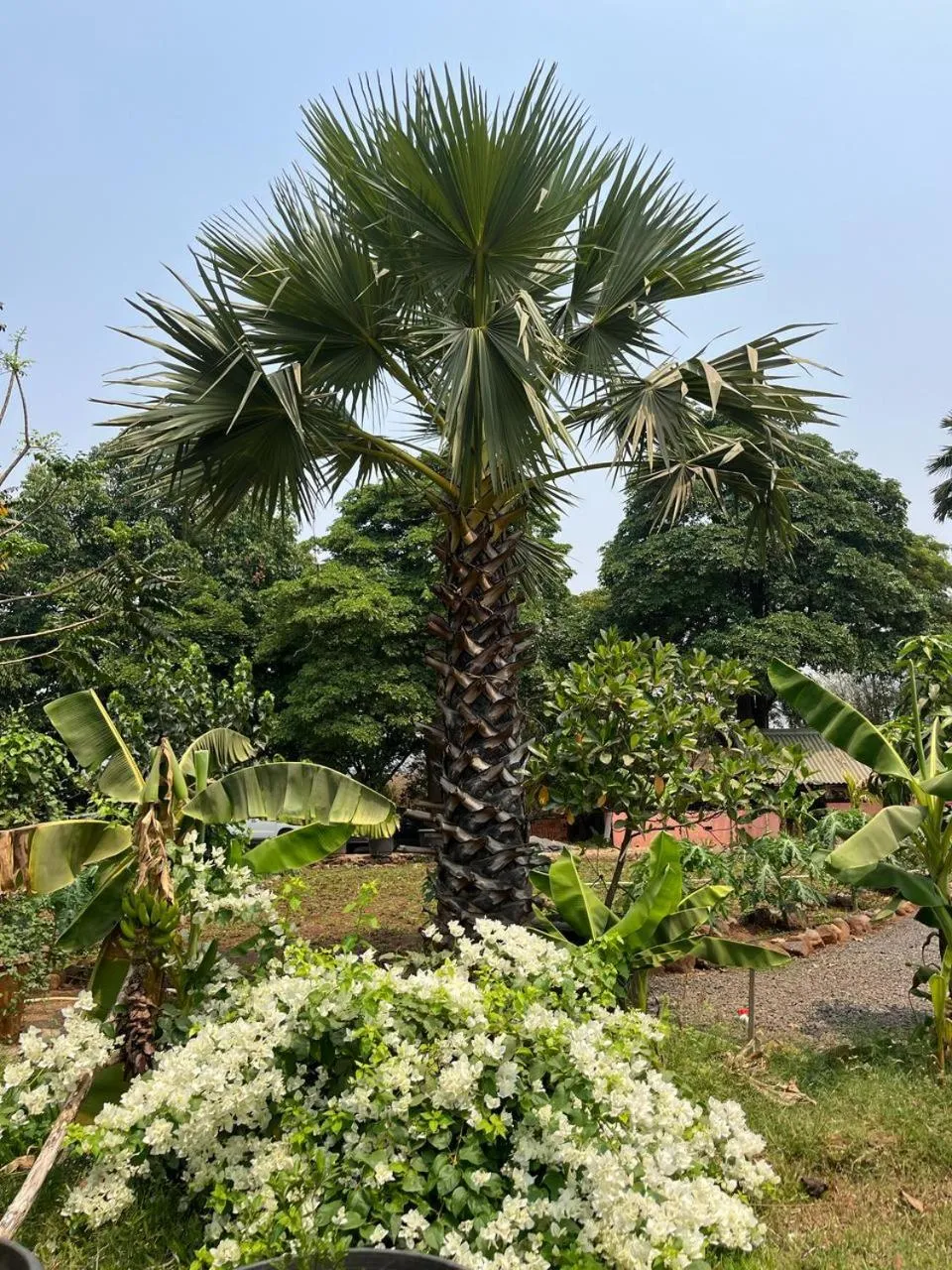 The Riverstone Agro Farm