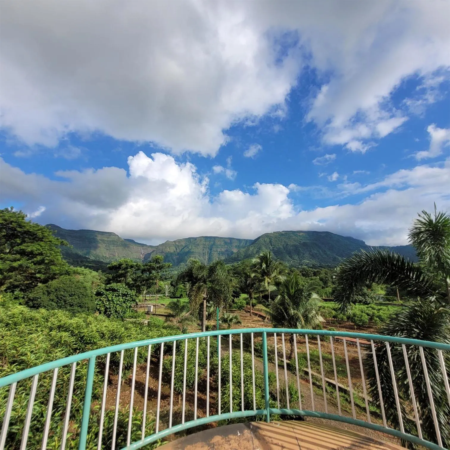 Mountain view in The Riverstone Agro Farm