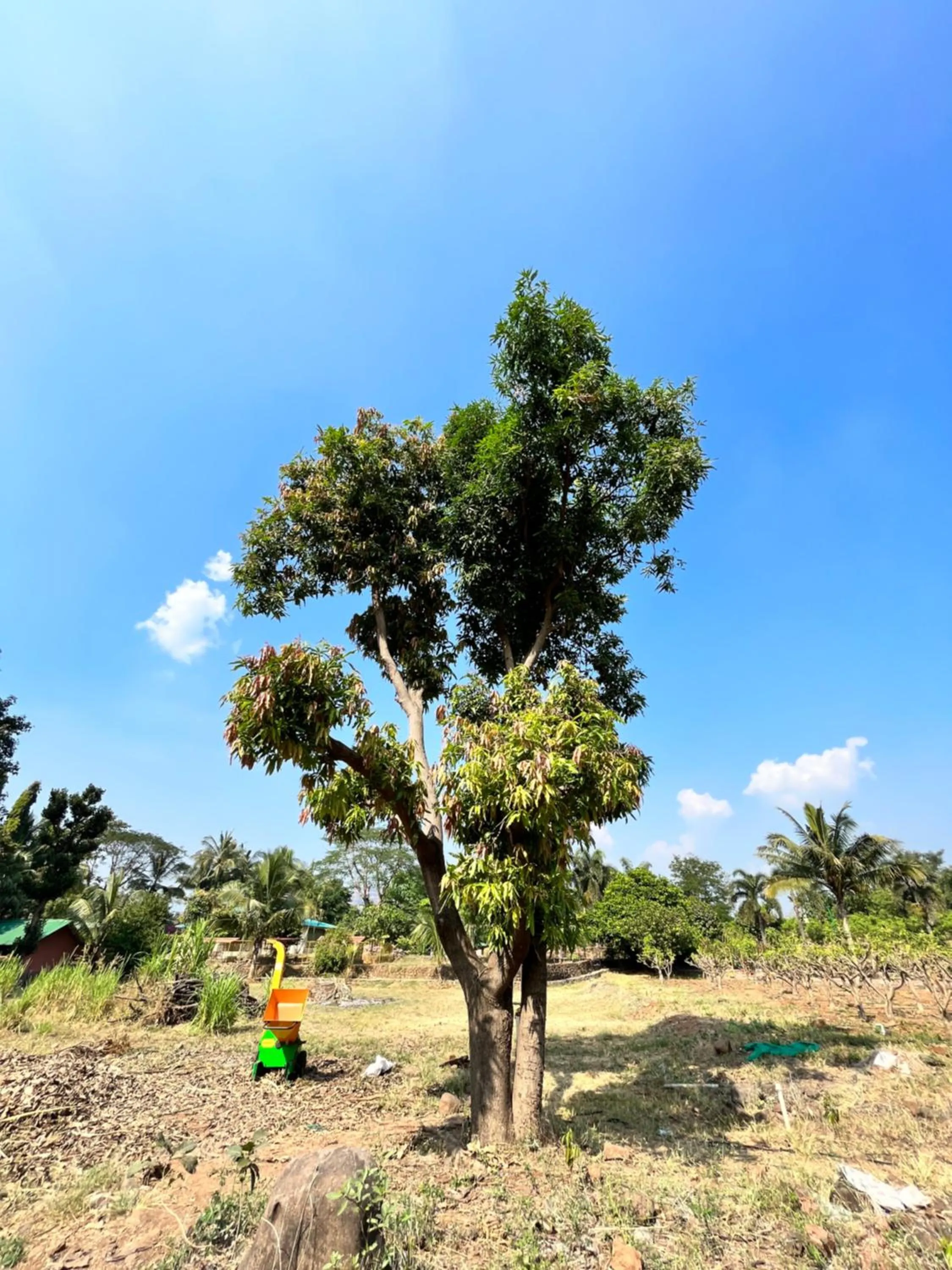 Natural landscape in The Riverstone Agro Farm