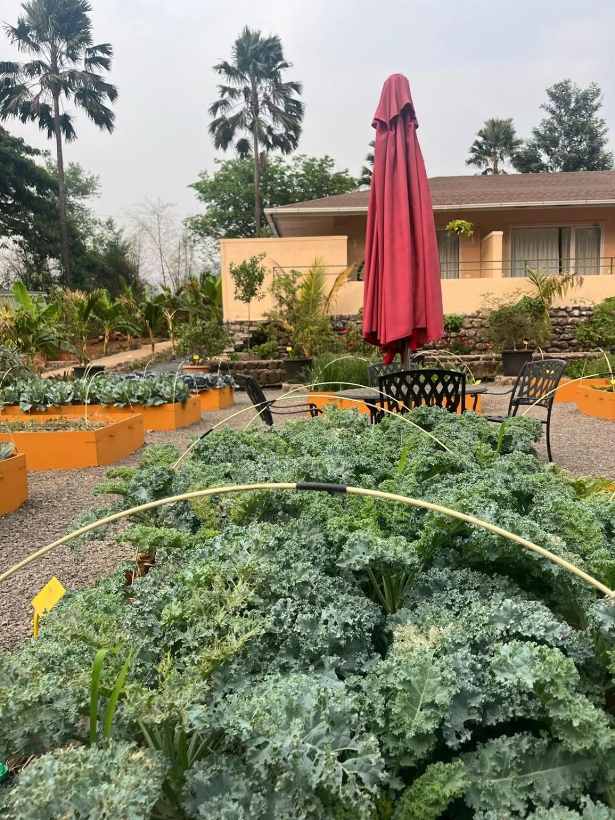 The Riverstone Agro Farm