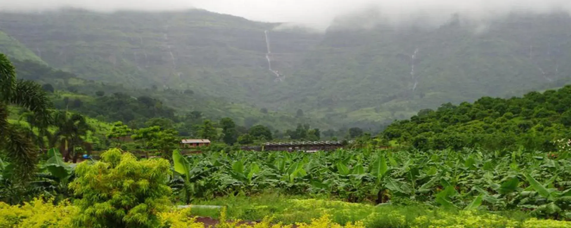 Mountain view in The Riverstone Agro Farm Mountain view in The Riverstone Agro Farm