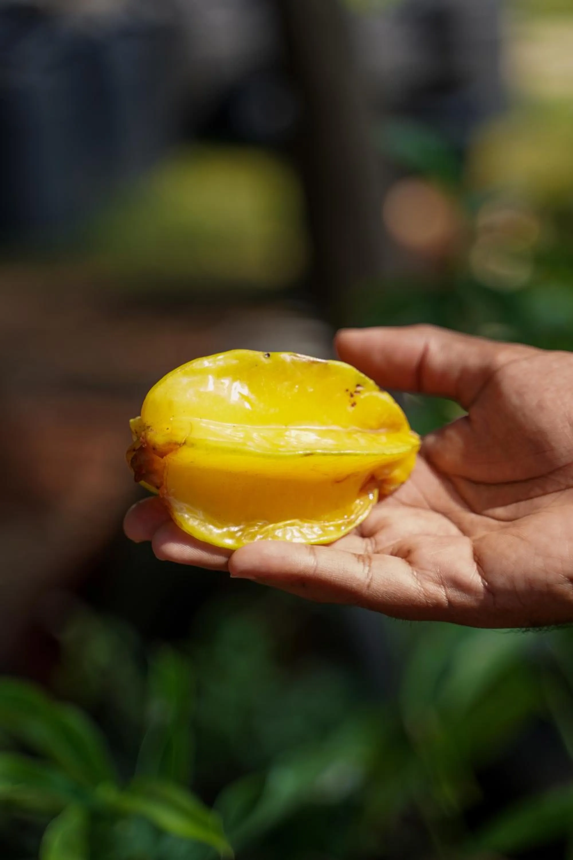 Food in The Riverstone Agro Farm