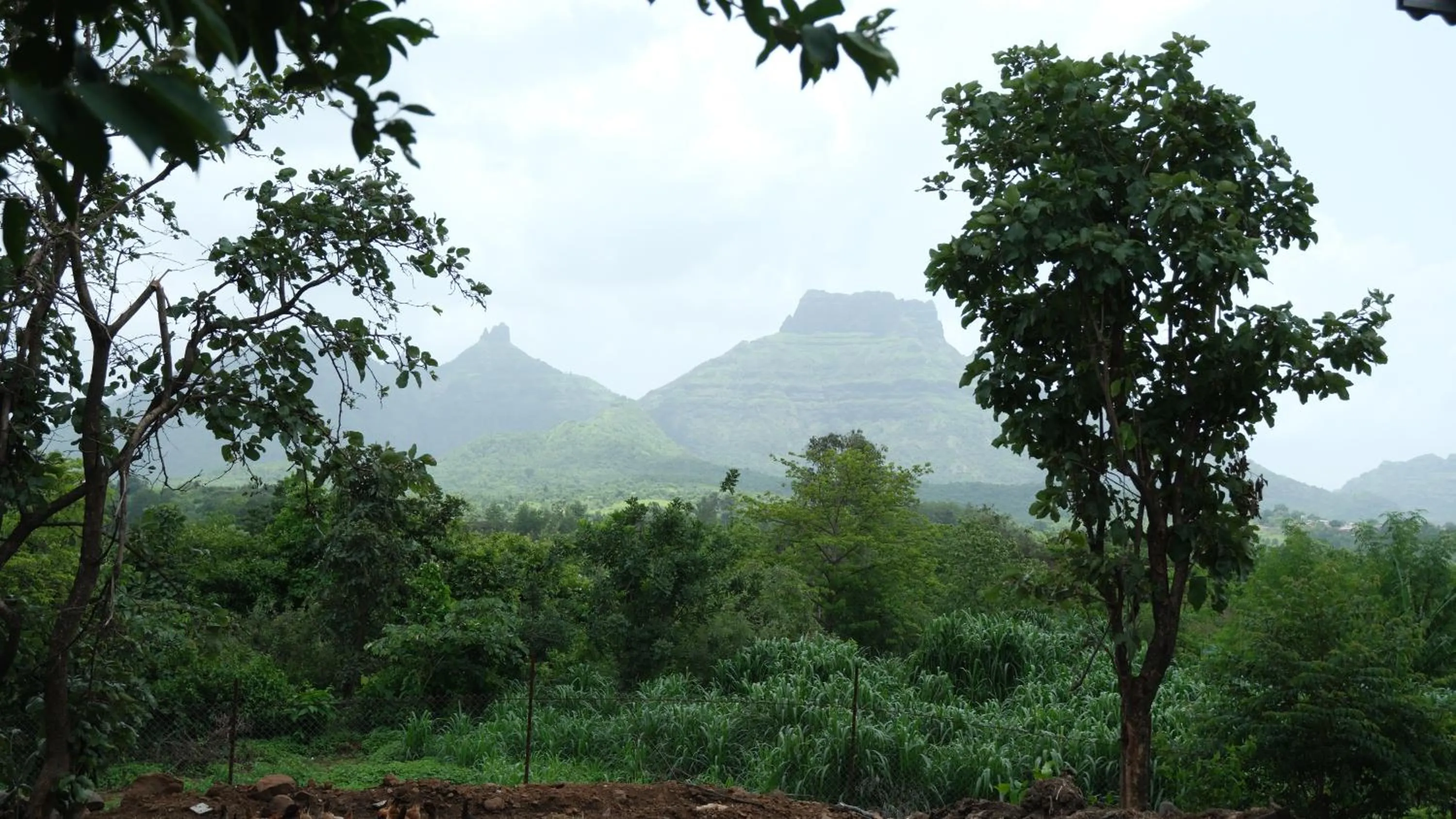 The Riverstone Agro Farm