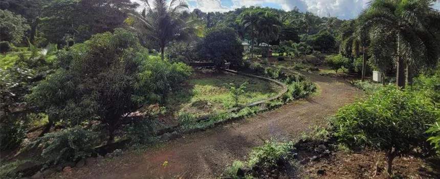 Day in The Riverstone Agro Farm