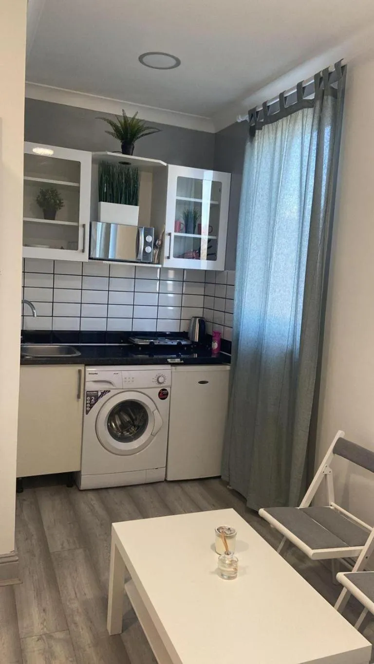 Kitchen or kitchenette in Studio- Sleeps 2-Pets Ok-Action Park and Stn Close