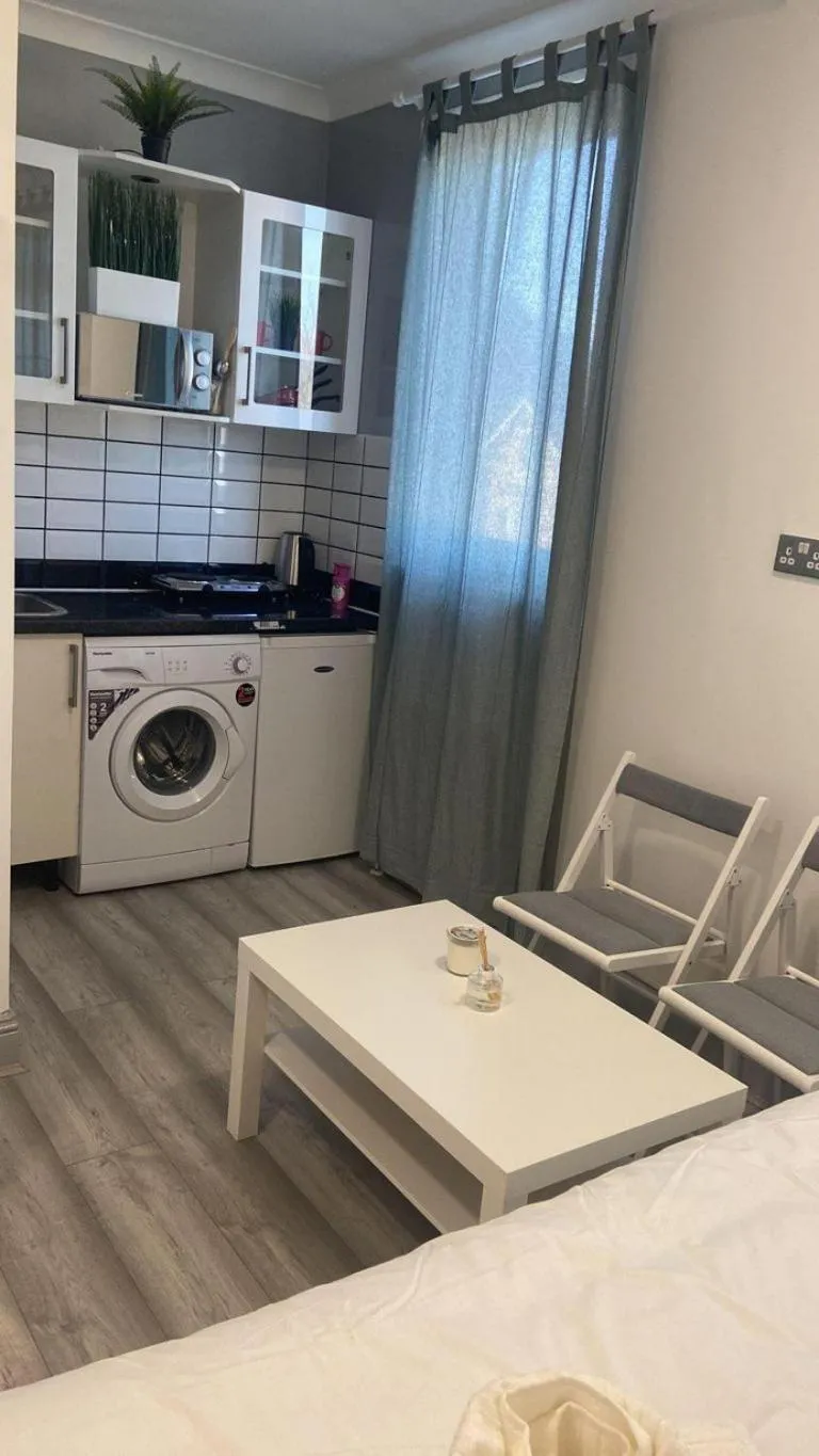 Kitchen or kitchenette in Studio- Sleeps 2-Pets Ok-Action Park and Stn Close