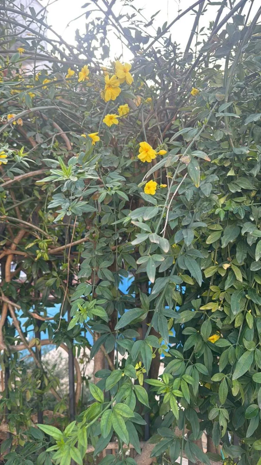 Property building in Orange Garden Aparts & Hotel THE NORDIC