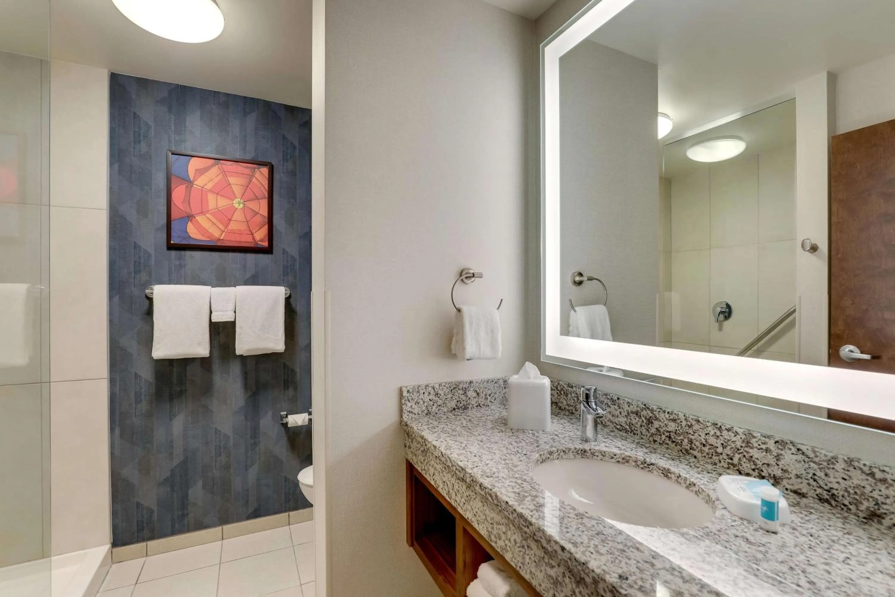 Bathroom in Drury Plaza Hotel Tallahassee