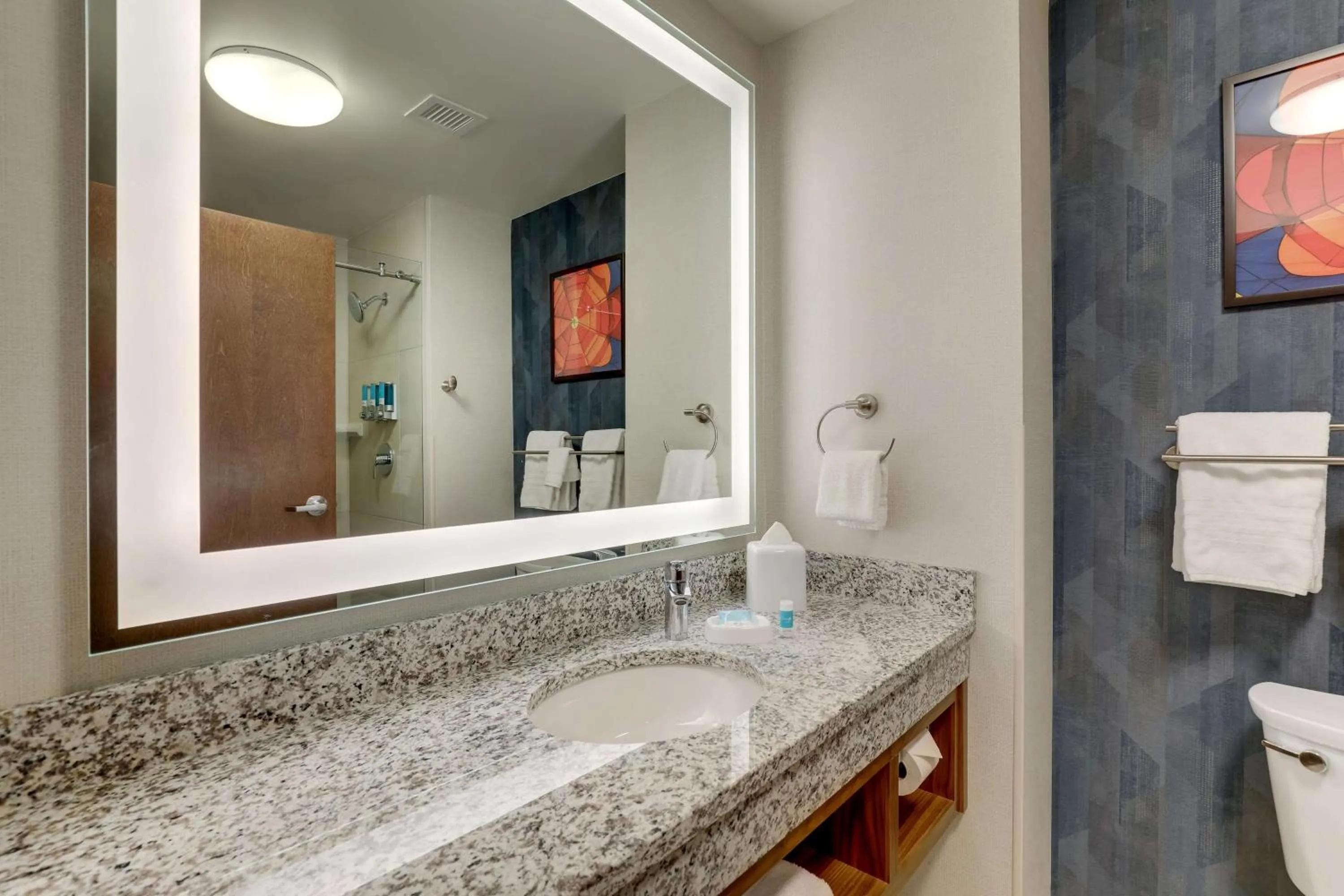 Bathroom in Drury Plaza Hotel Tallahassee