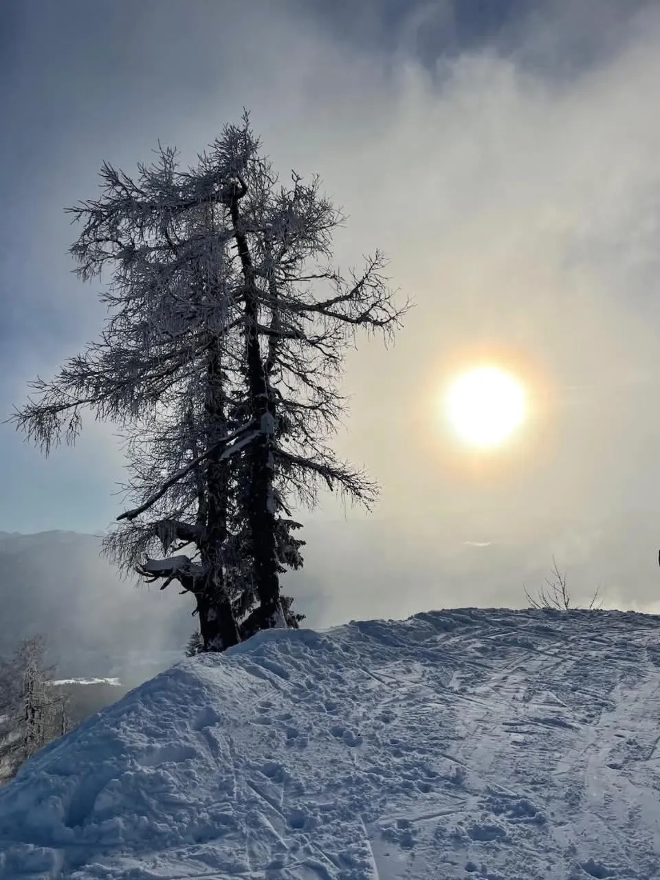 Natural landscape in Podenhaus