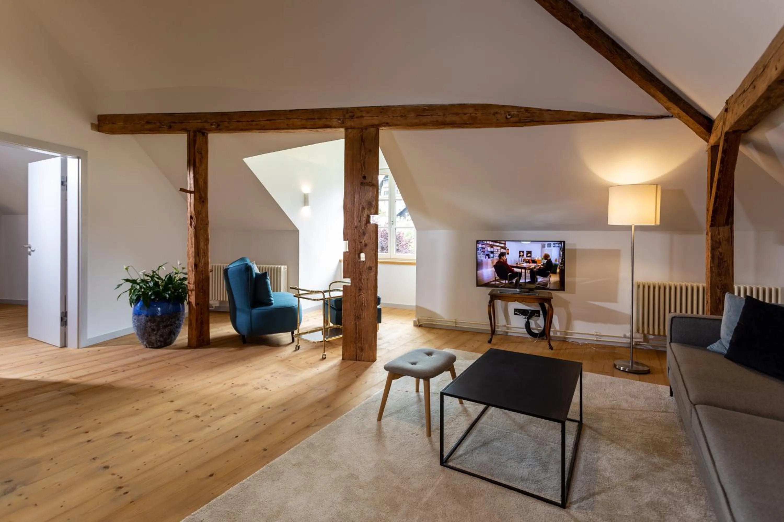 TV and multimedia in Podenhaus