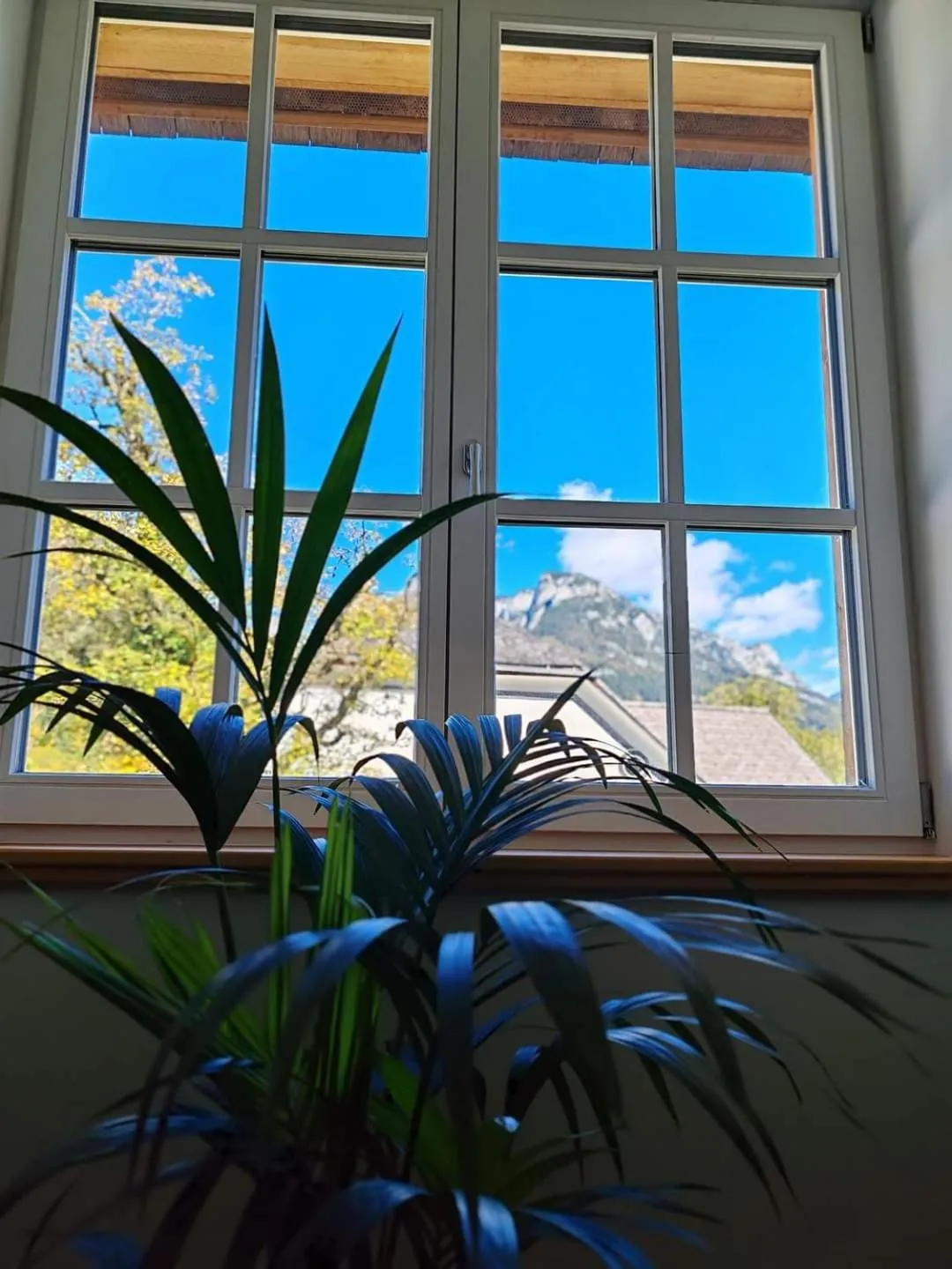 Natural landscape in Podenhaus