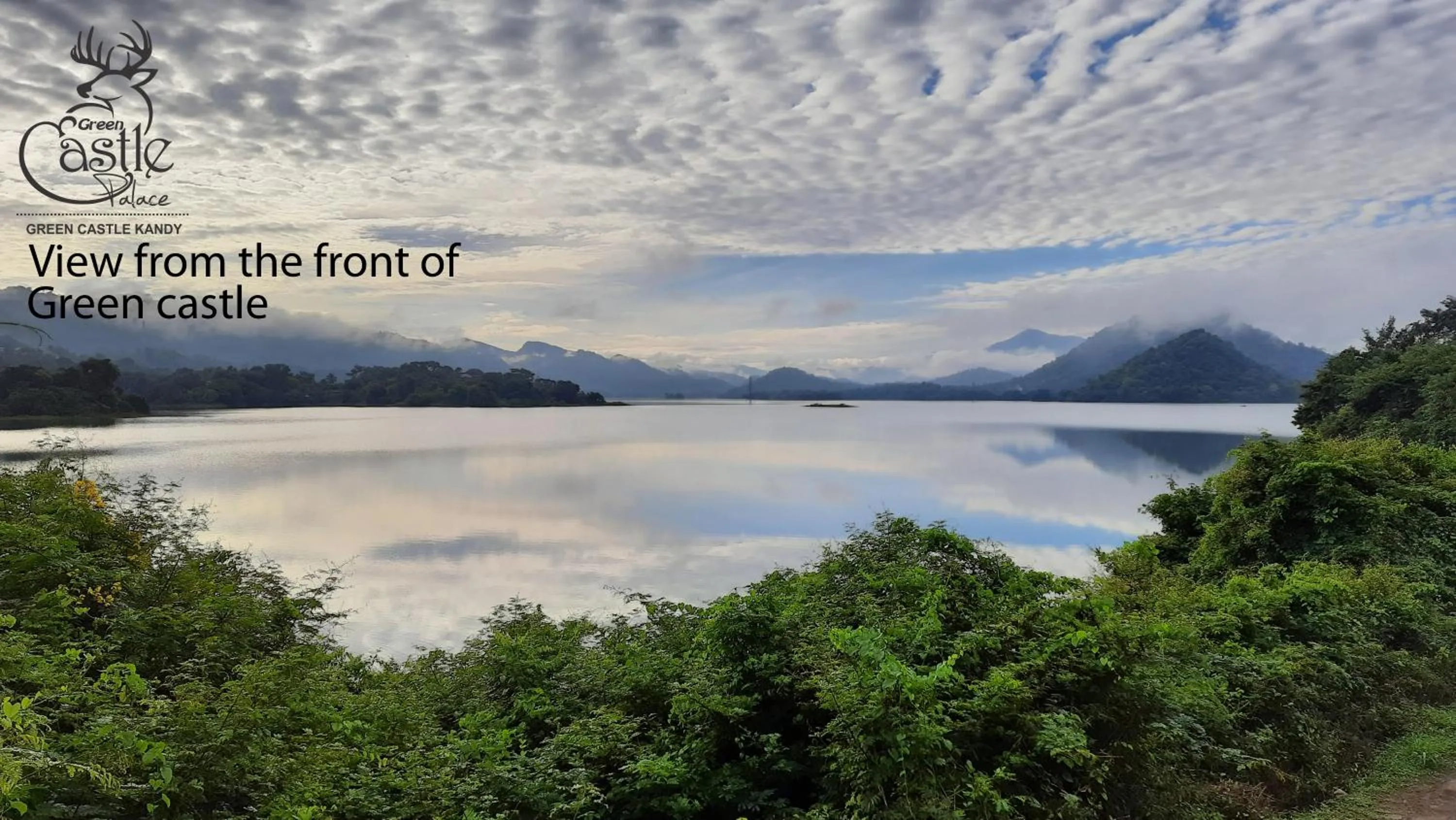 View (from property/room) in castle palace kandy