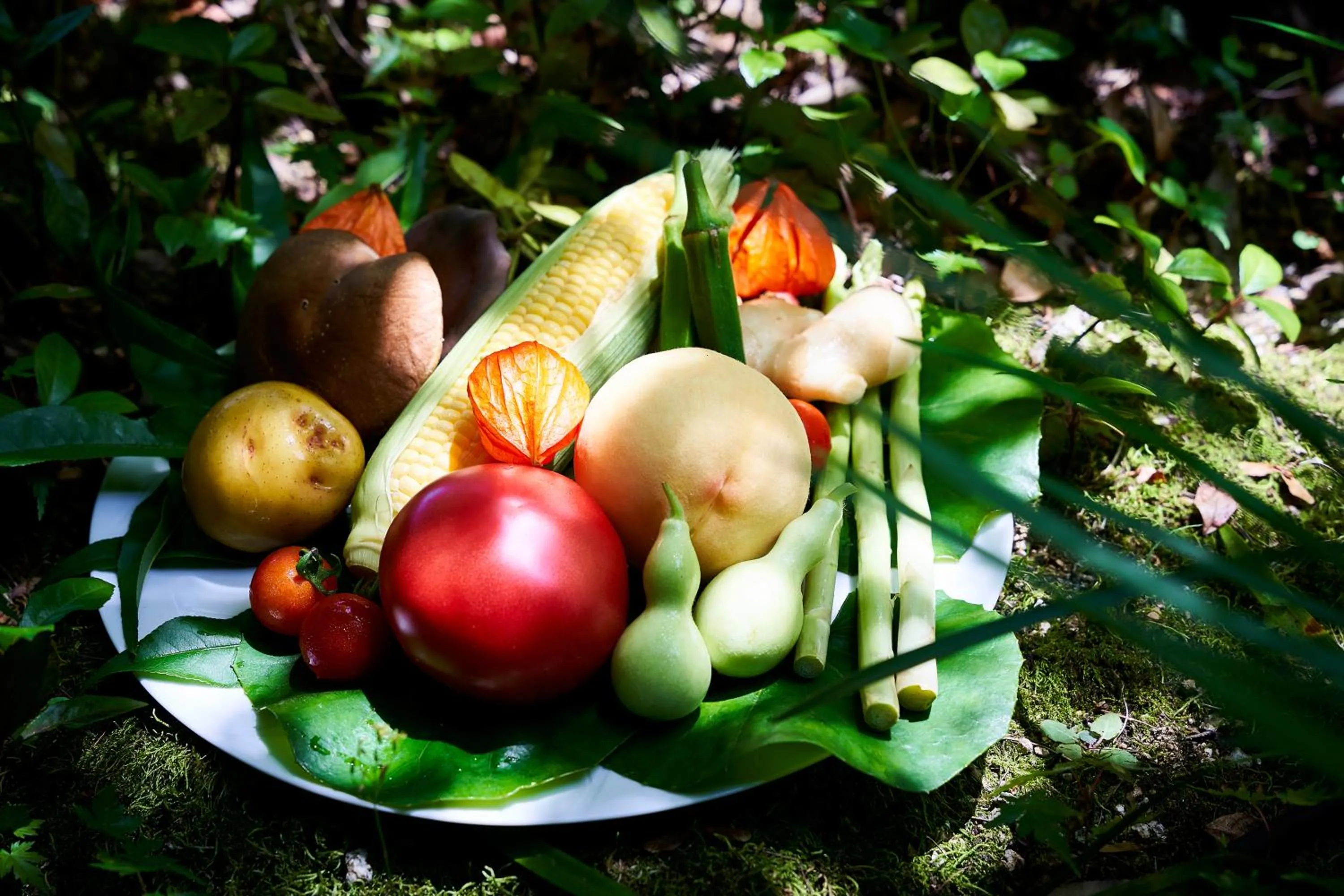 Food and drinks in Sanso Amanosato