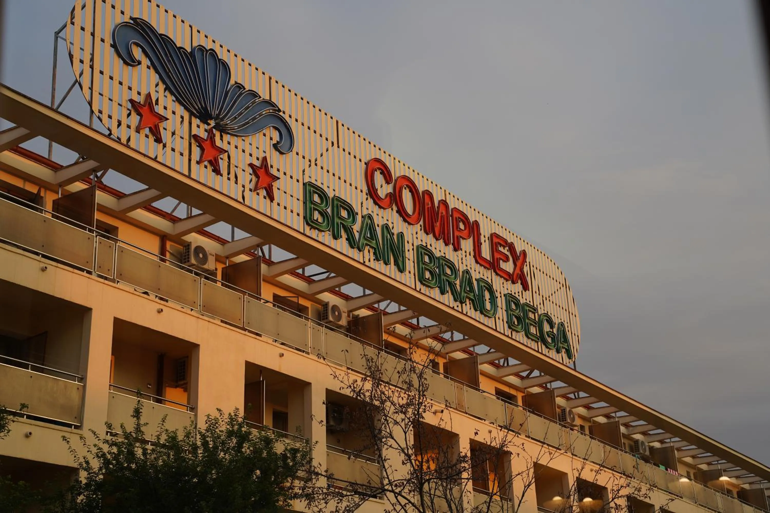 Complex Bran Brad Bega